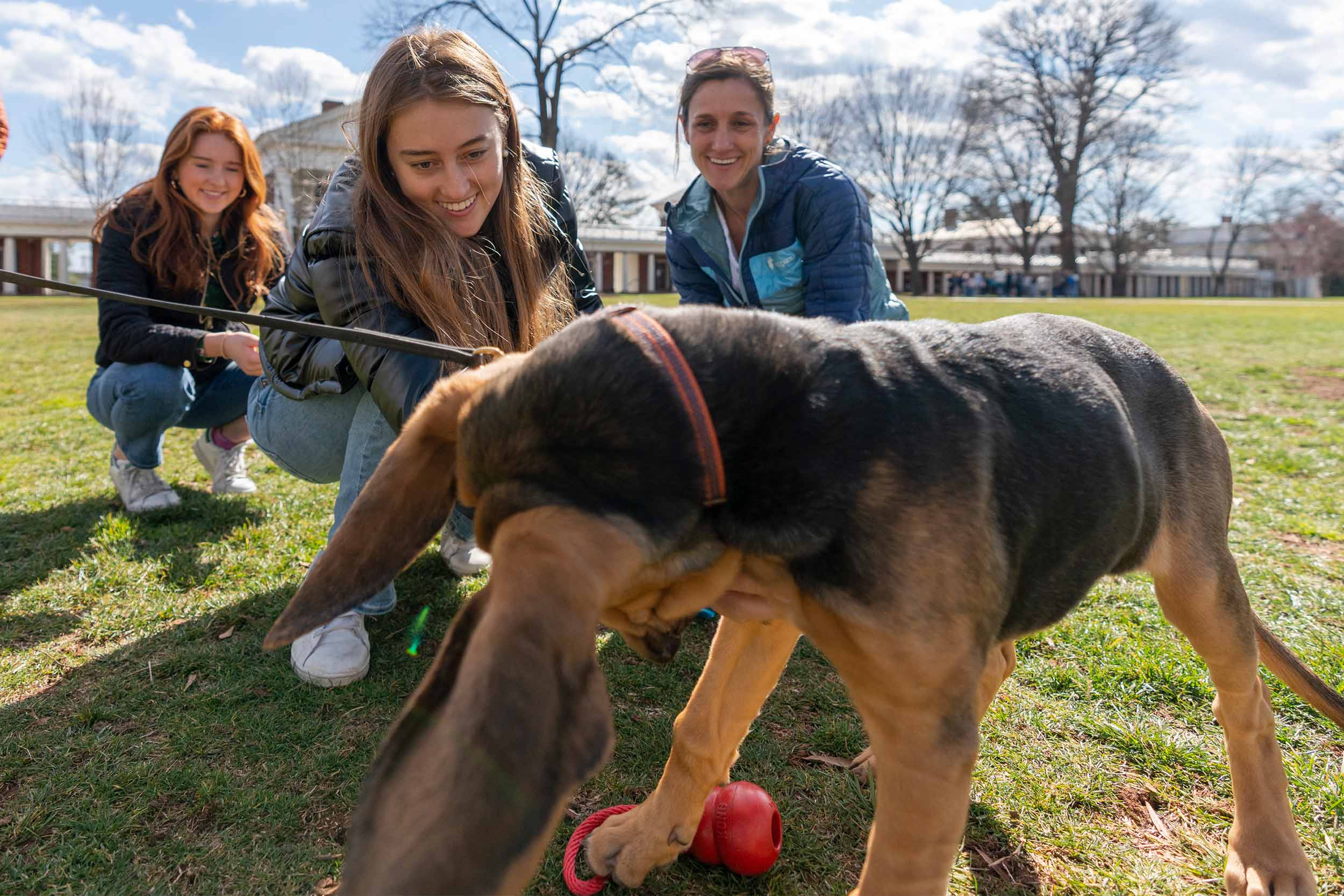 Three ladies meeting an petting Maggie, the bloodhound, on the Lawn