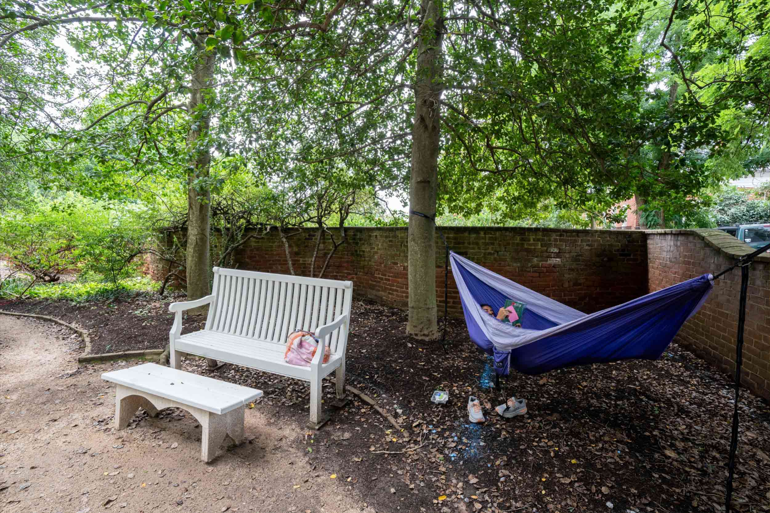 Hammock on trees and a white bench in a garden of the lawn buildings