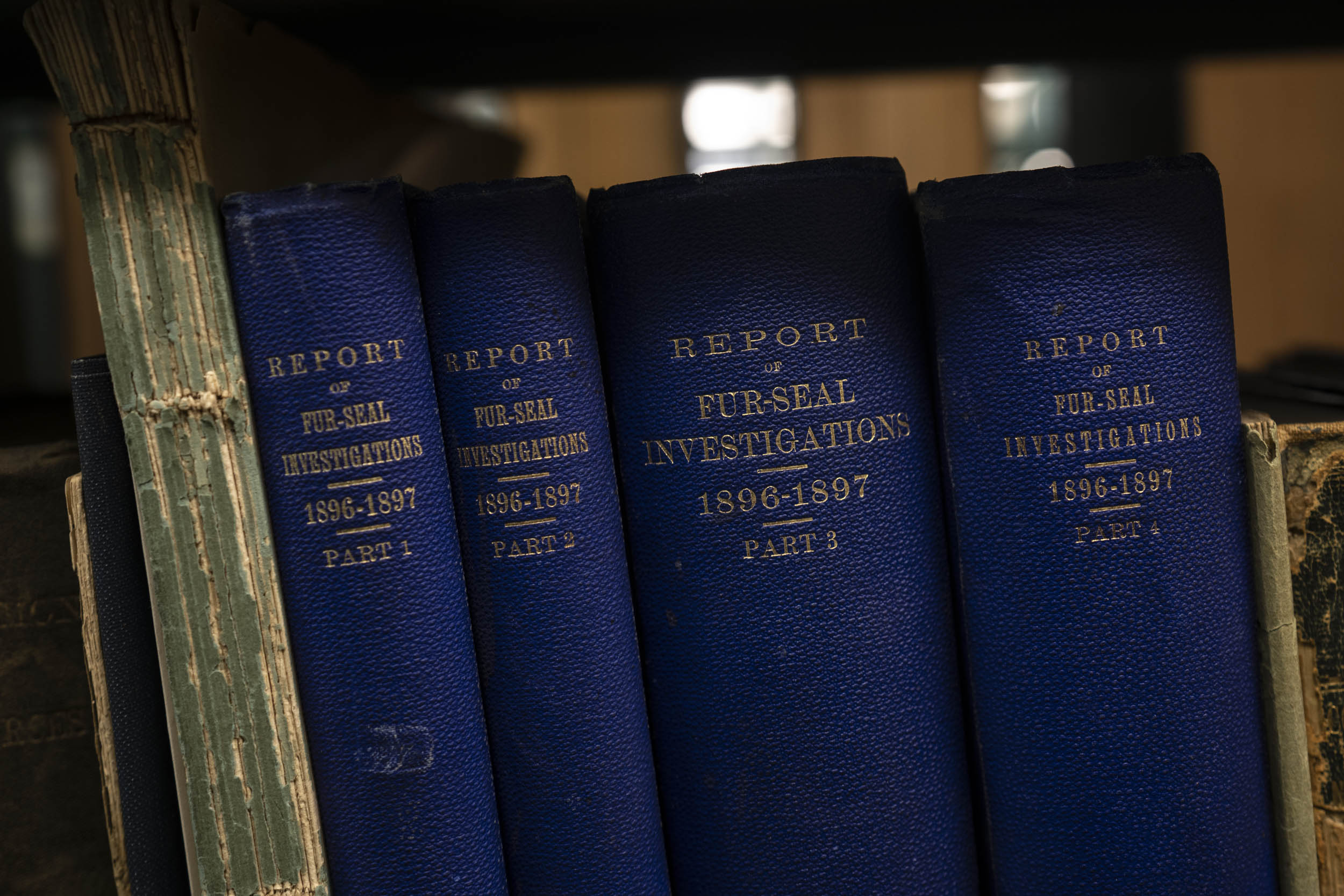 Dark blue books, volumes 1 through 4 of the Repot of Fur-seal Investigations