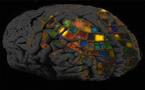 Illustration of a brain with different colored lights shining through