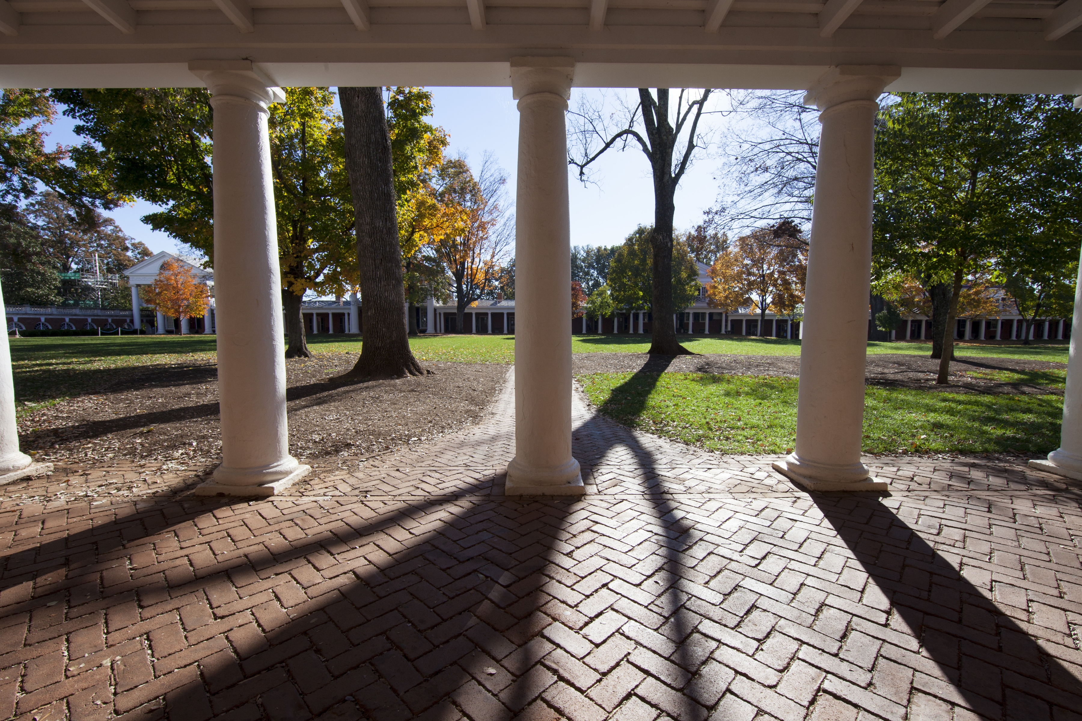Look through columns on the lawn at the changing tree colors