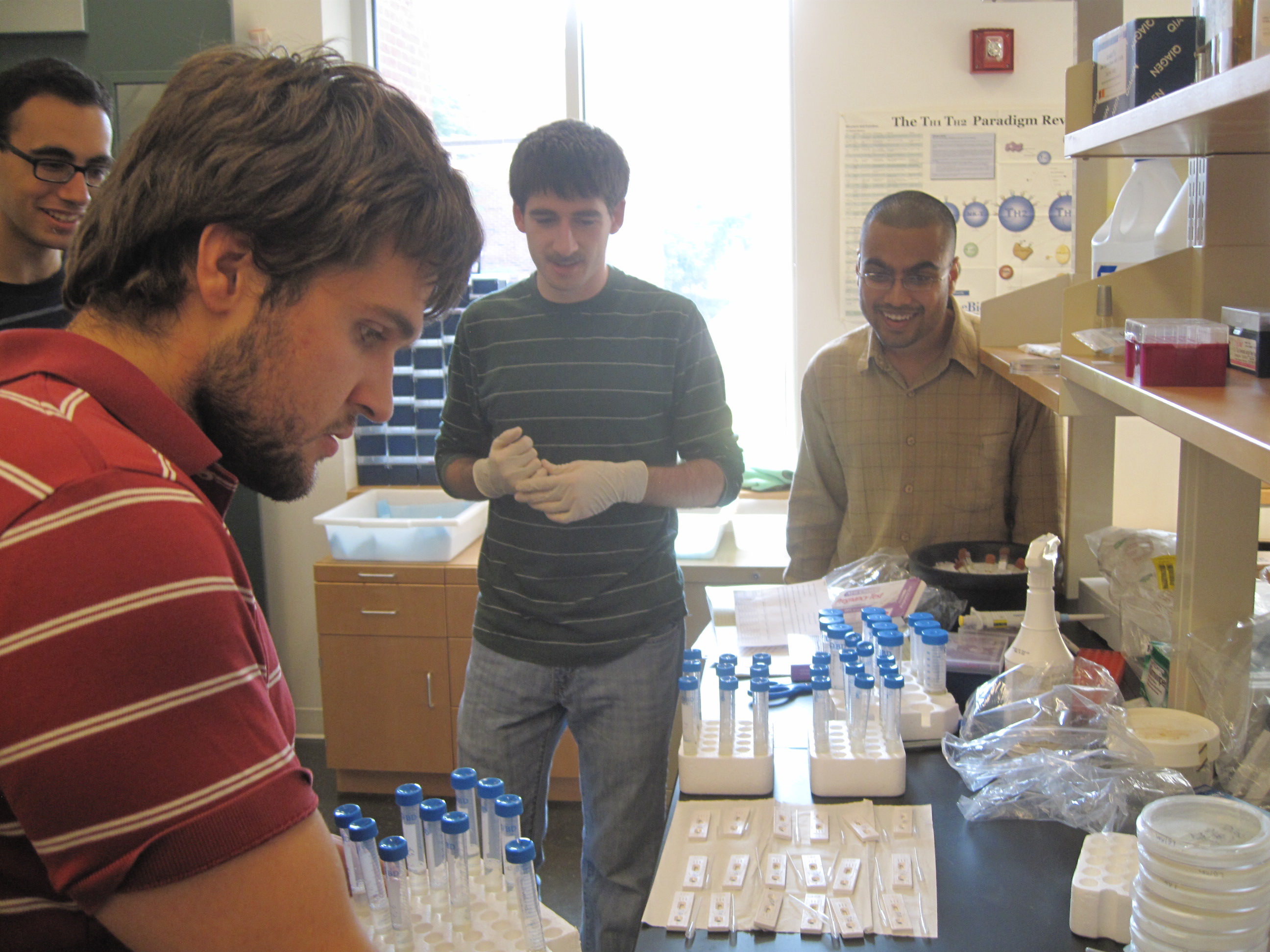 Students working in a lab together