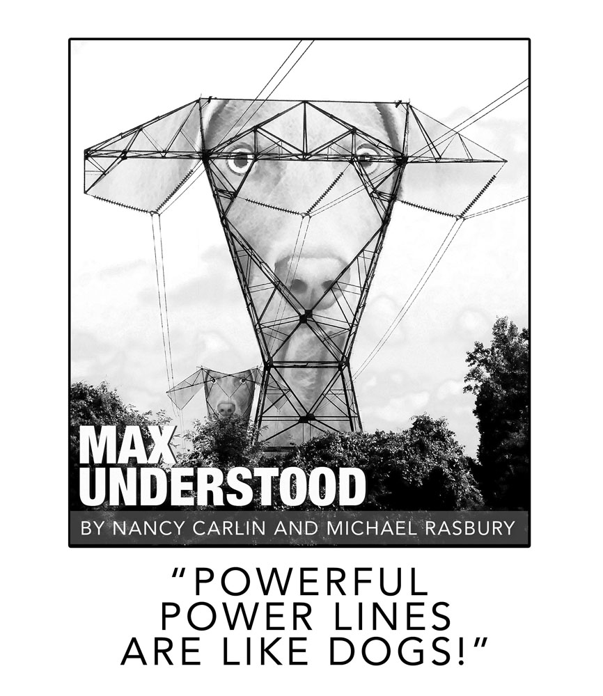 Book cover reads: Max Understood by Nancy Carlin and Michael Rasbury