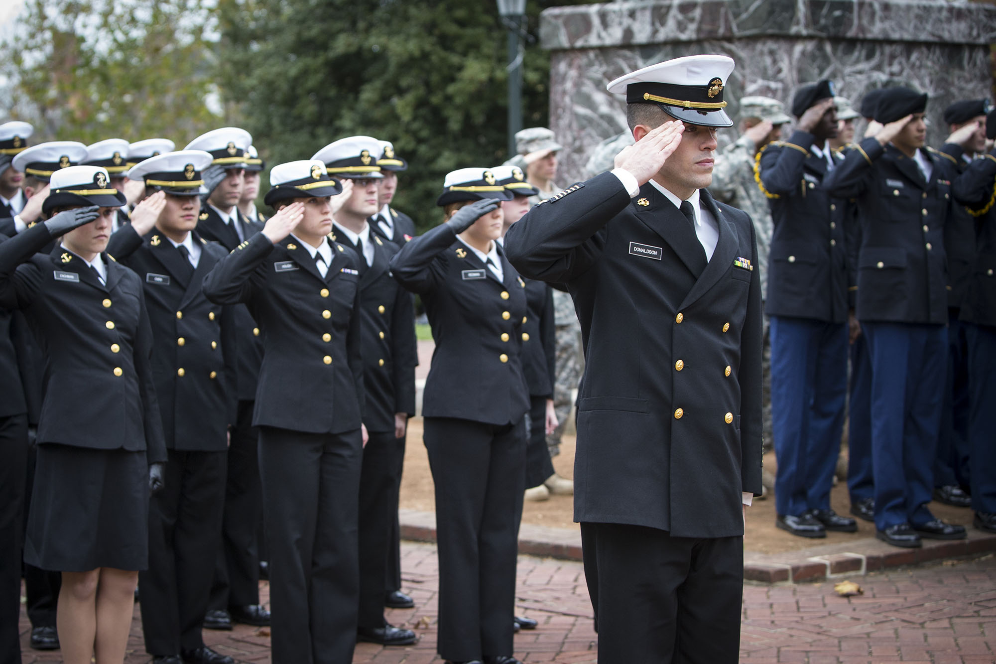 USA Military men and women saluting
