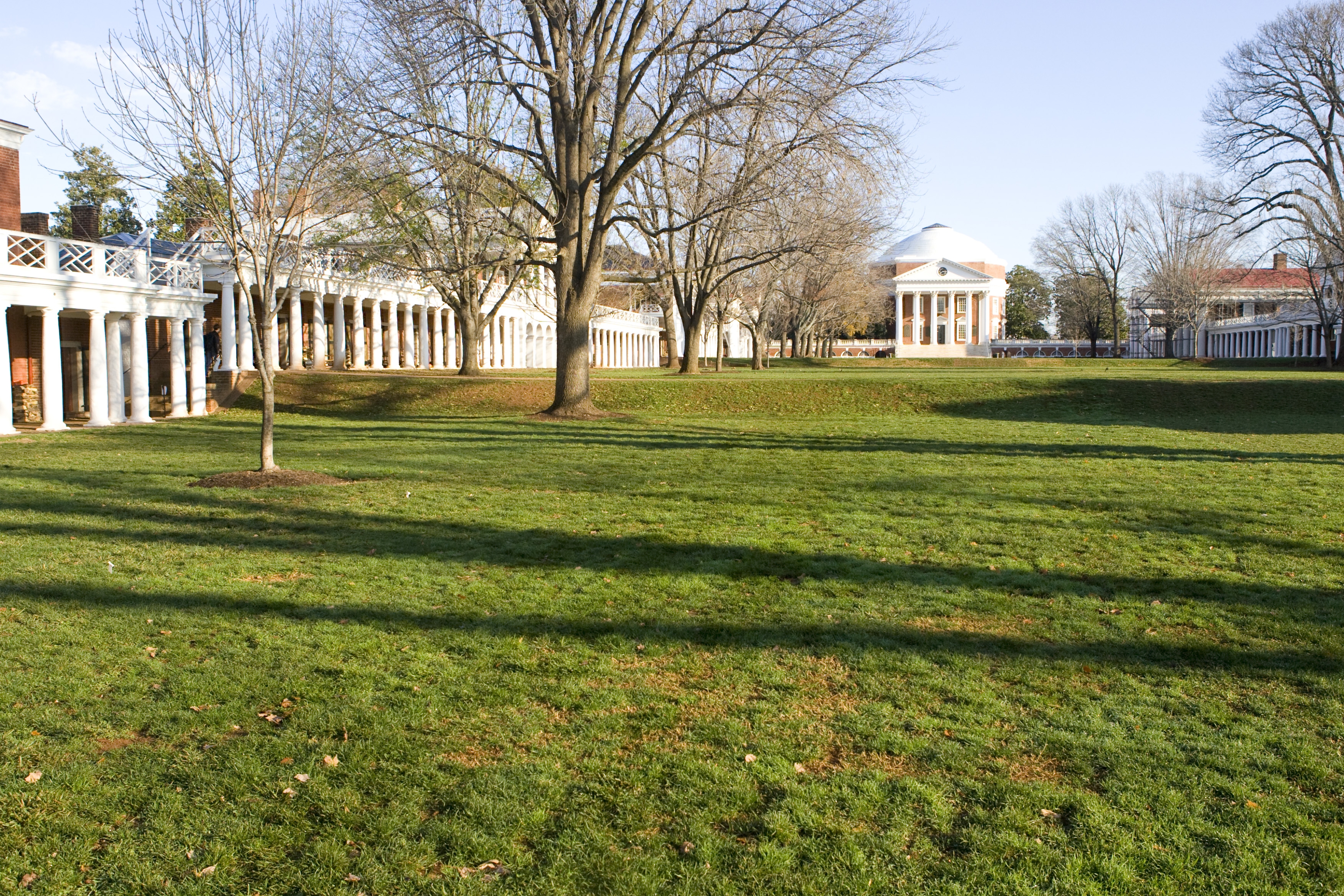 UVA's Lawn and Rotunda