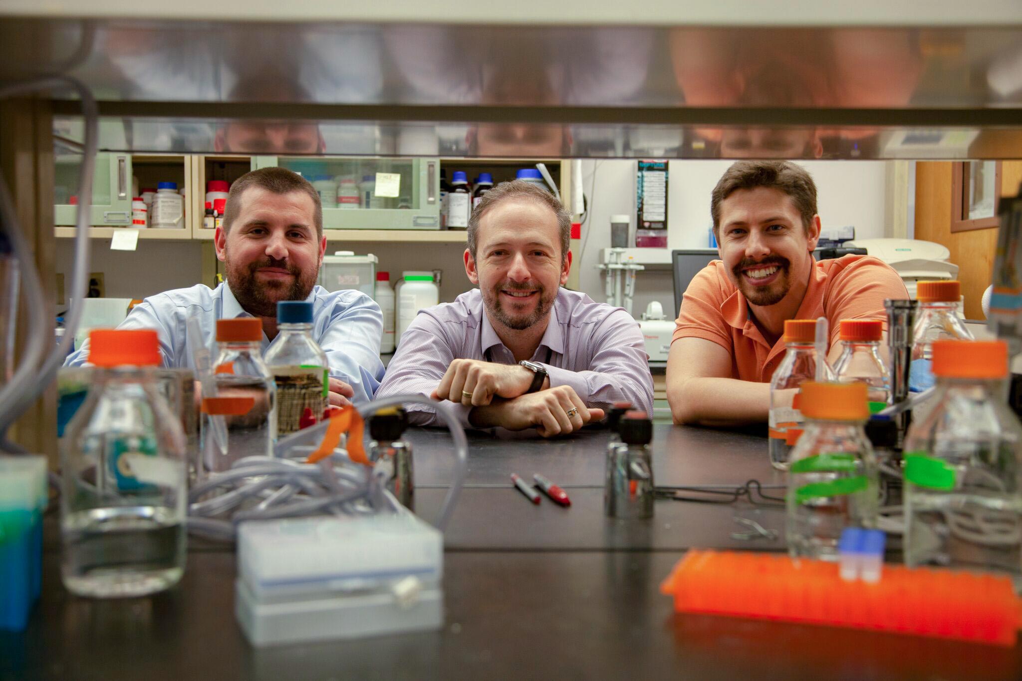 From left, Antoine Louveau, Jonathan Kipnis and Sandro da Mesquita stand together for a picture between lab shelves