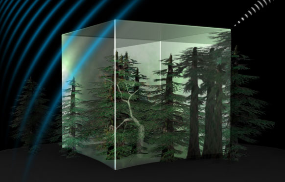 Glass box filled with trees