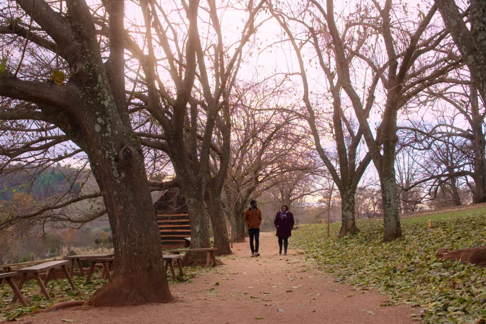 two people in coats walking on a trail surrounded by trees on each sie