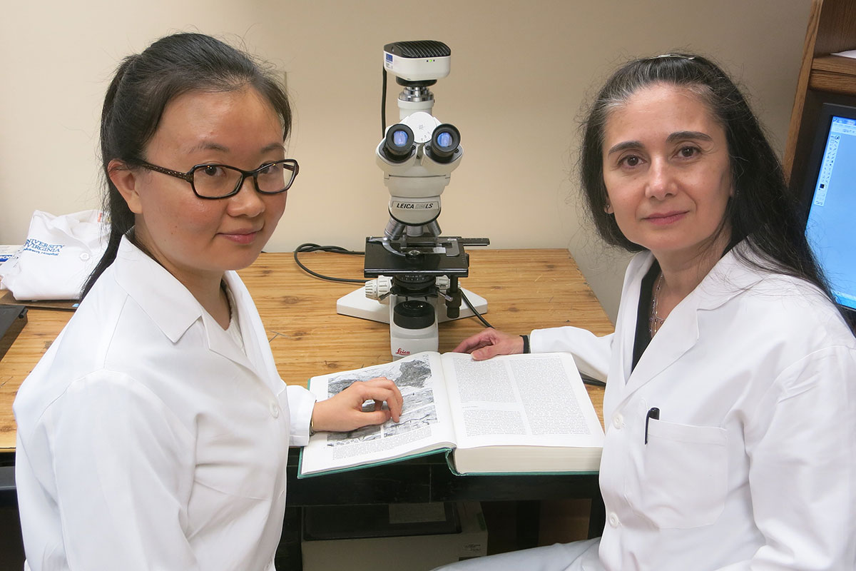 Yan Hu, left and Dr. Maria Luisa S. Sequeira-Lopez working at a table look up and smile at the camera
