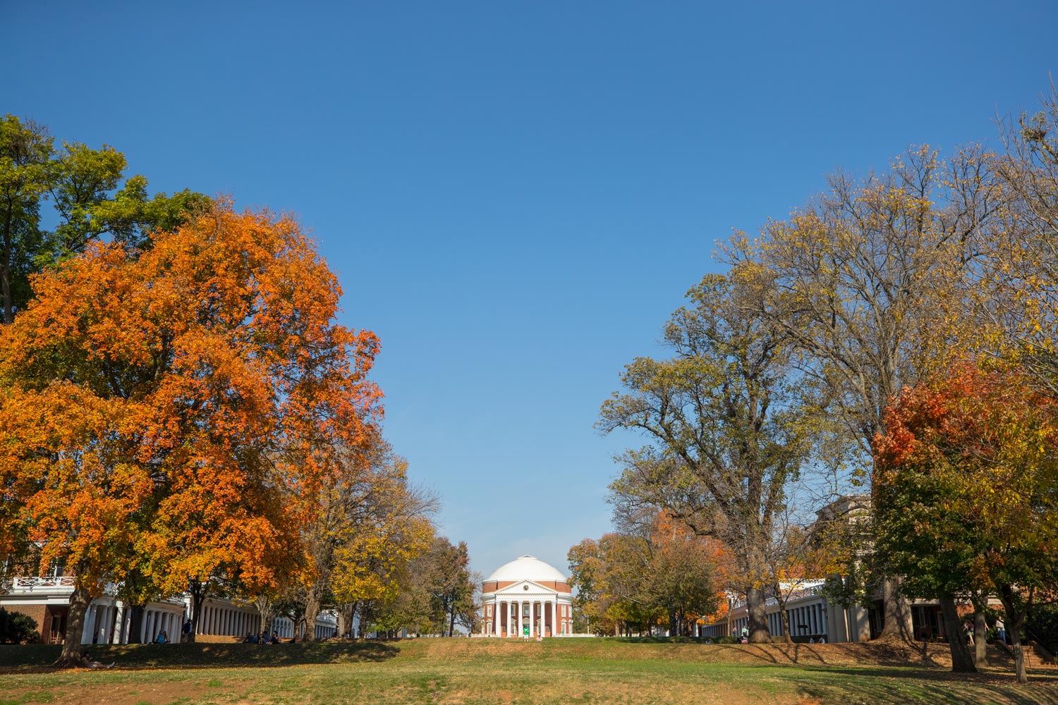 Rotunda from the Lawn in the fall as the leaves are changing colors and falling on to the ground