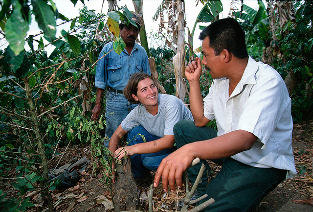 Peace Corps volunteer talks to two forestry workers while looking at a tree