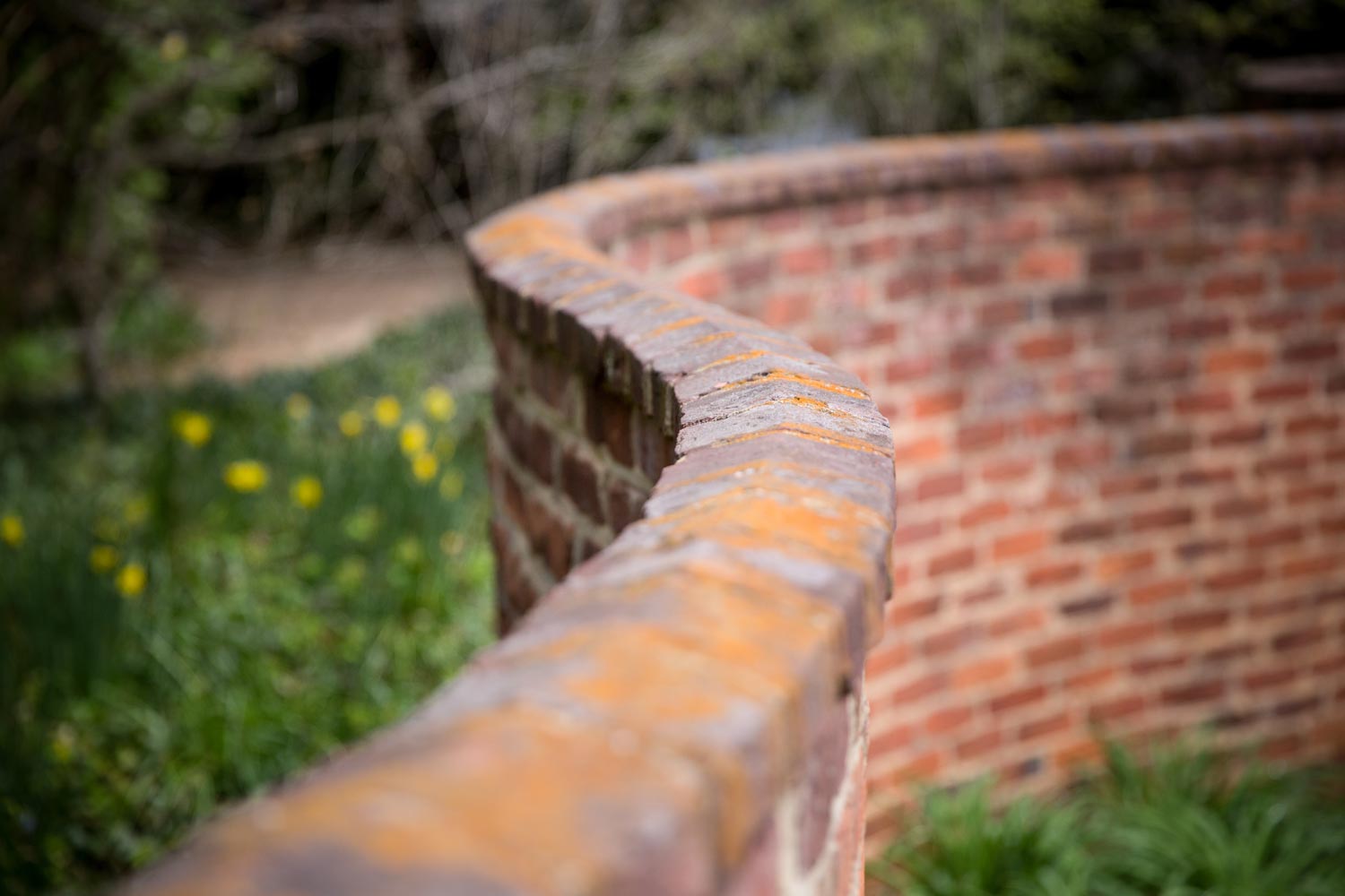 Brick serpentine wall 