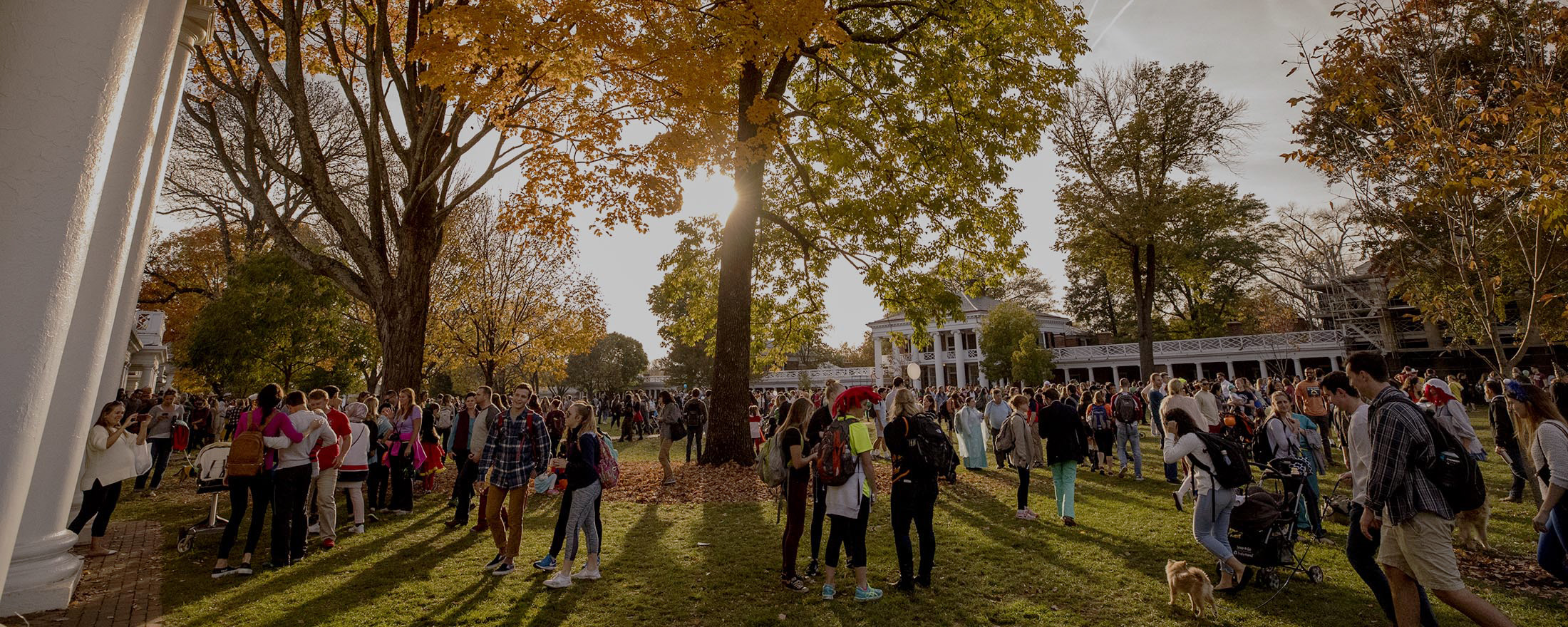 Children dressed in costumes getting candy from UVA students on the Lawn
