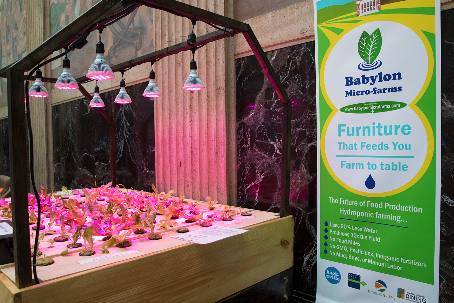 Plants grown in hydroponics systems, such as those used by Babylon Micro-Farms, are free of GMOs and pesticides. (Photo by Dan Addison, University Communications)