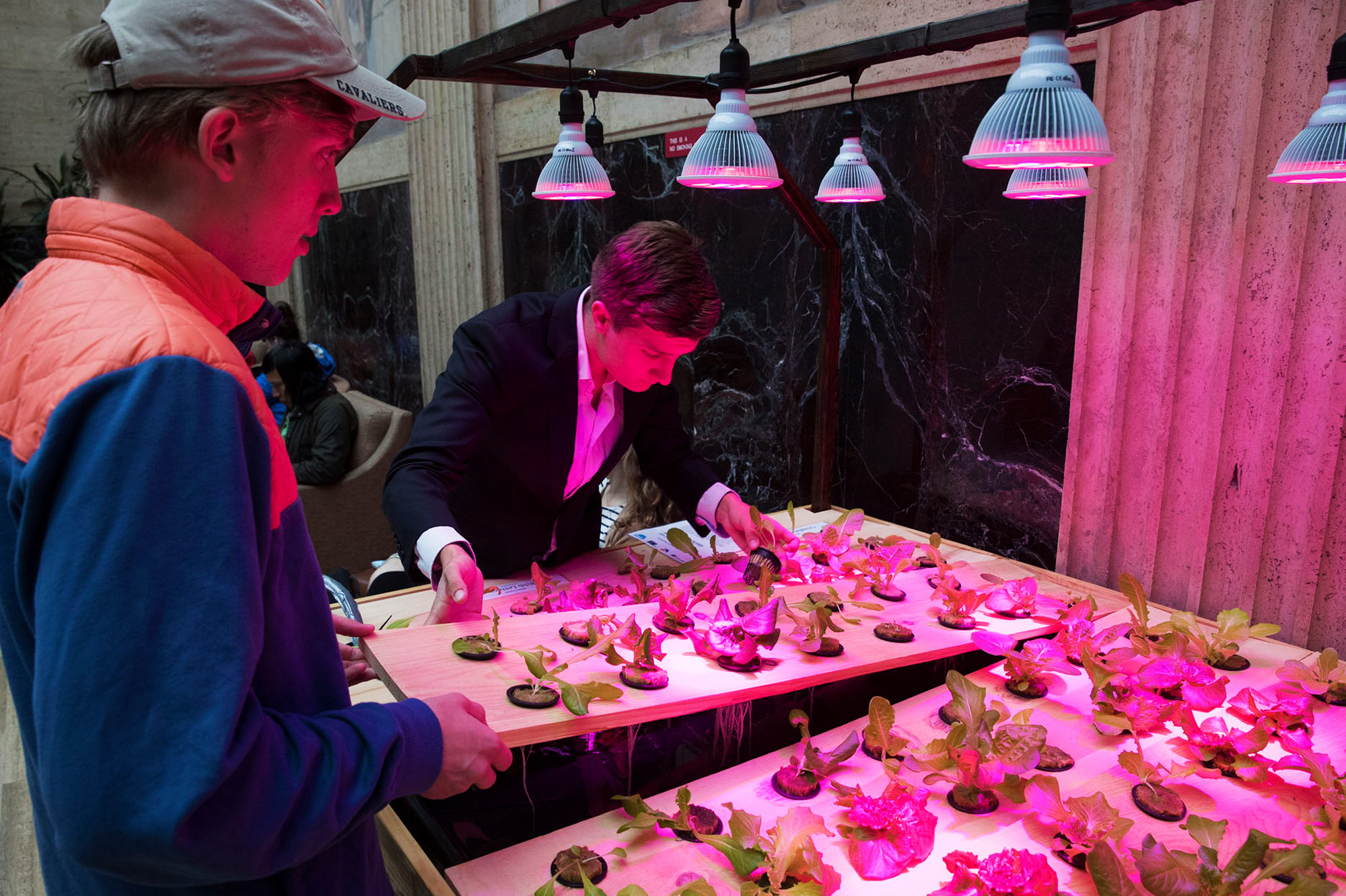 Alexander Olesen, founder of Babylon Micro-Farms, hopes that his hydroponic systems will soon be put to use in UVA dining halls and low-income areas. (Photo by Dan Addison, University Communications)