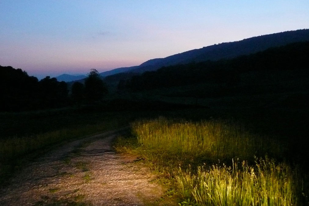 Researchers travel the back roads at dawn and dusk looking for flowers to sample.