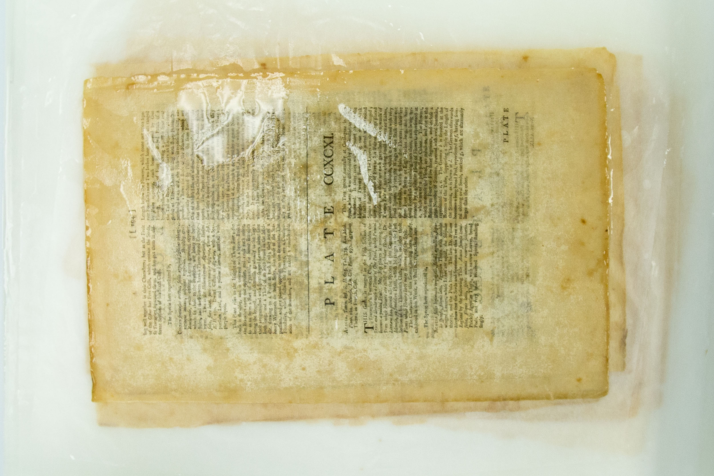 The hardier text pages are stacked and soaked together to remove impurities.