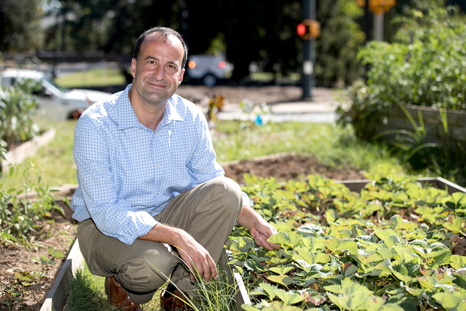 Associate economics professor Federico Ciliberto co-led the largest research study to date examining how genetically modified soybeans and maize have impacted pesticide use in the U.S.