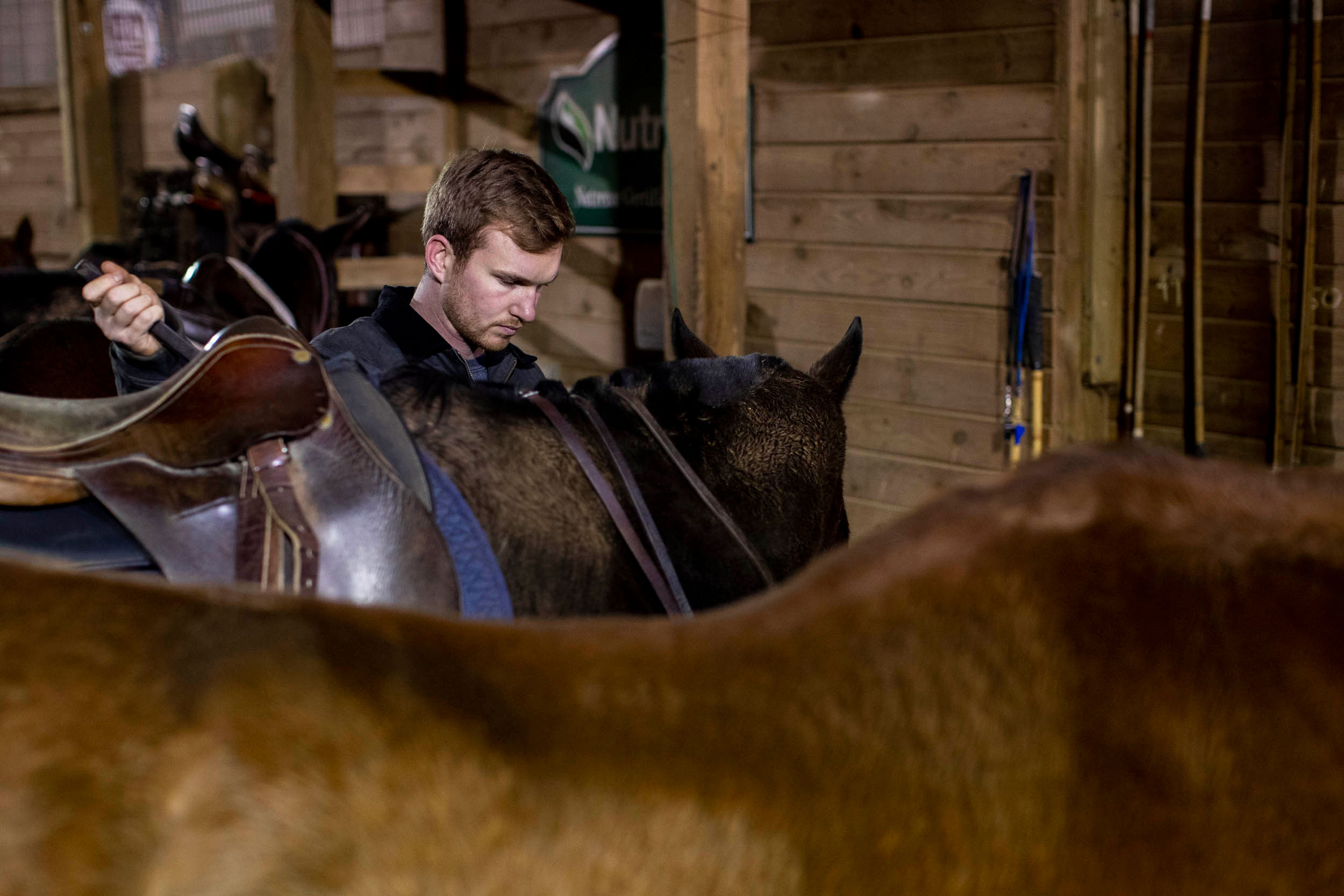 Jake Kausen taking care of a horse
