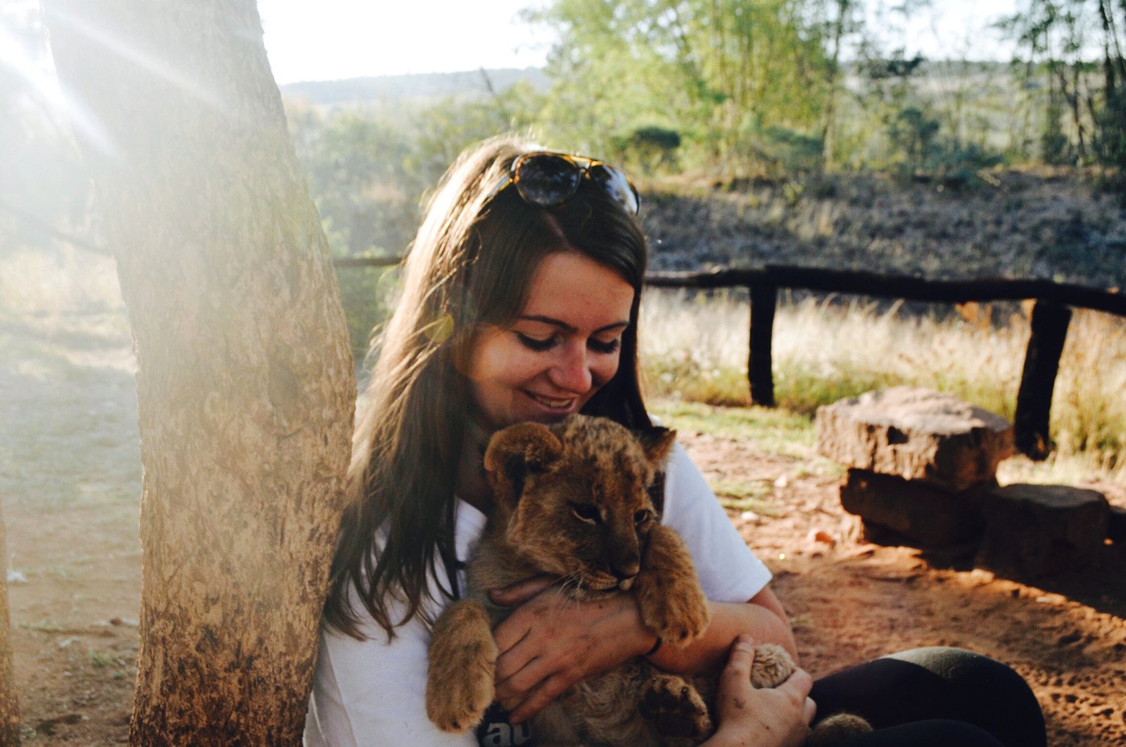 Undergraduate student Helena Gallagher with a lion cub in South Africa.