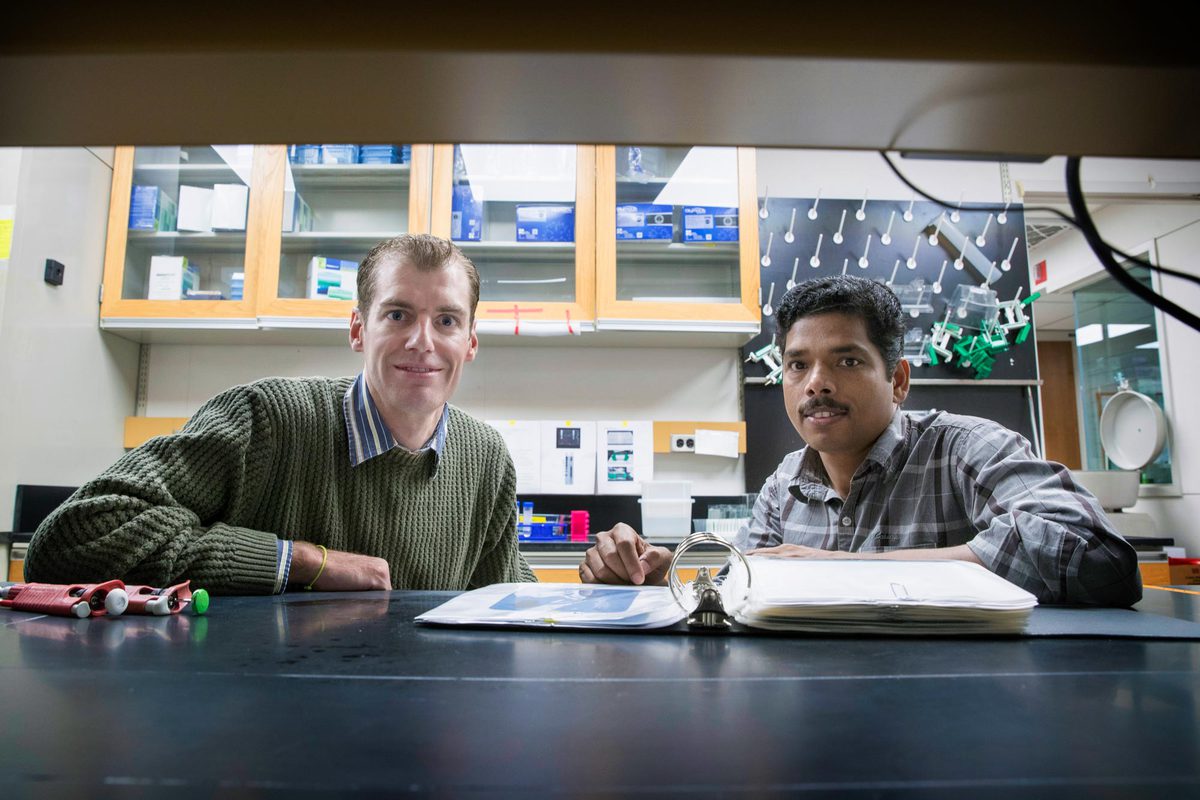 Michael J. Guertin, left, and Kizhakke Mattada Sathyan work together a lab table