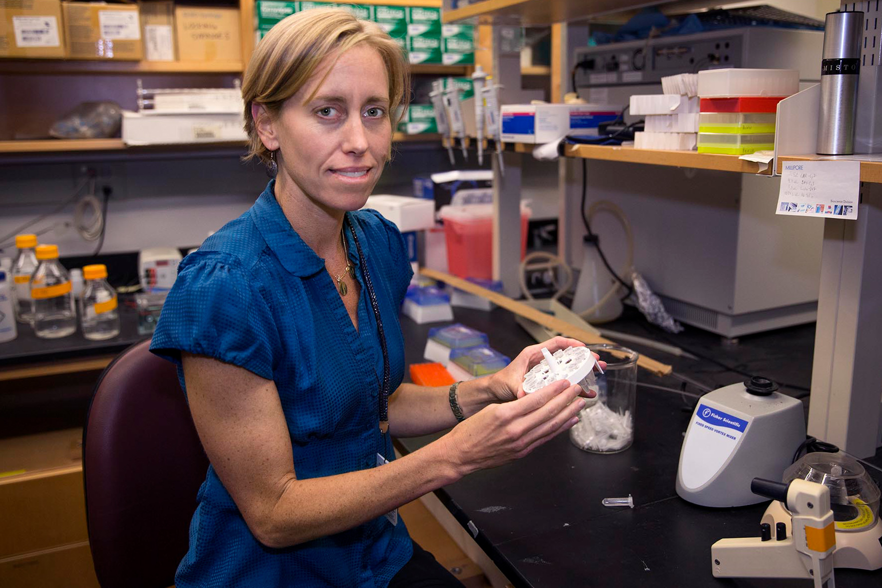 Biomedical engineering professor Shayn Peirce-Cottler models the highly complex, interconnected system of blood vessels that serve living tissue. 