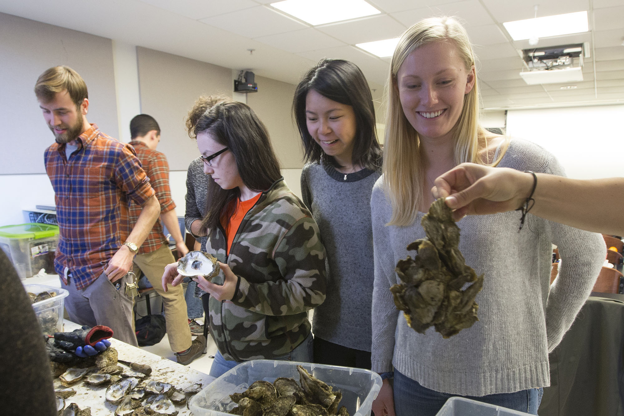 Students Nathan Rose, Kristen Eppard, Abigail Chan and Mary Collins take a look at some aquacultured oysters, brought to Stephen Macko’s fisheries class.