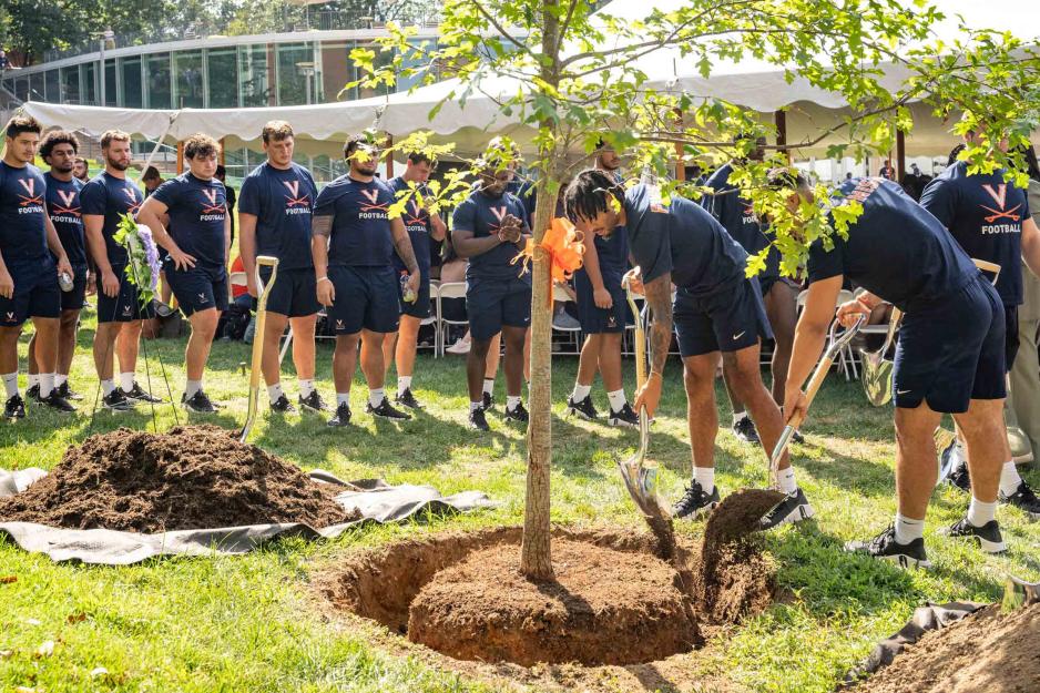 Members of the UVA football team planting a tree