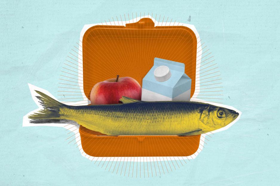 An illustration of a fish with an apple and a boxed milk