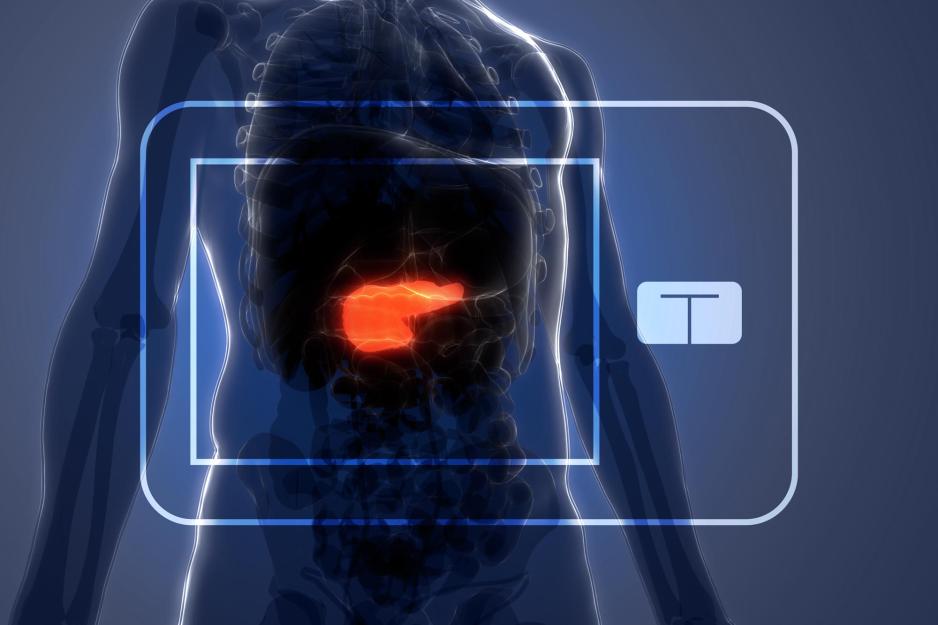 see through human body with a red pancreas on the body.  Two squares (an inner and an outer square) in the shape of the new artificial pancreas