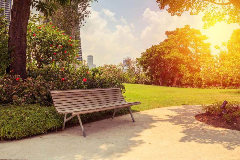 graphic illustration of a bench on a sidewalk next to trees and roses with a cityscape in the background