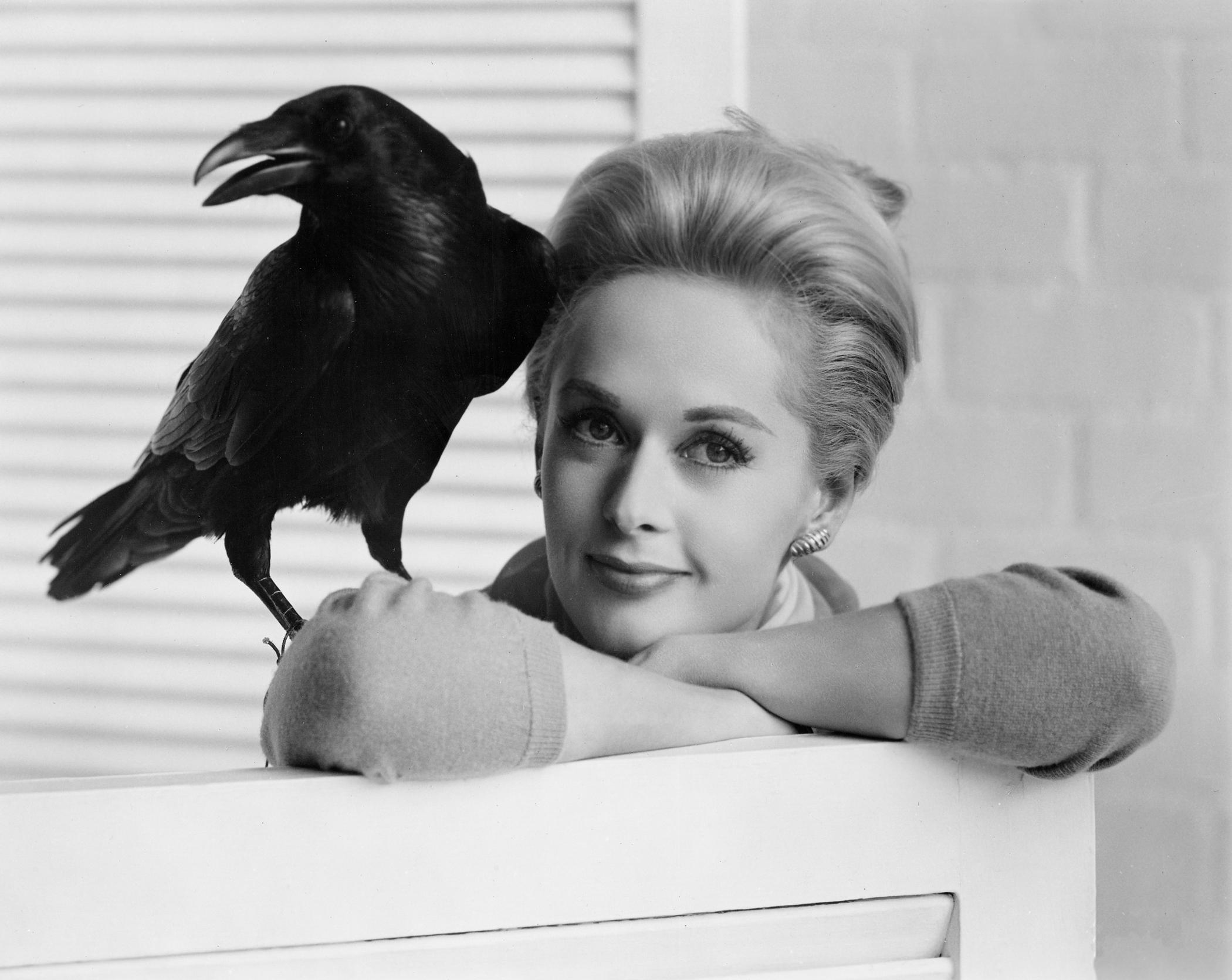 Film Fest To Host Tippi Hedren For 50th Anniversary Screening Of Hitchcocks ‘the Birds Uva Today 4969