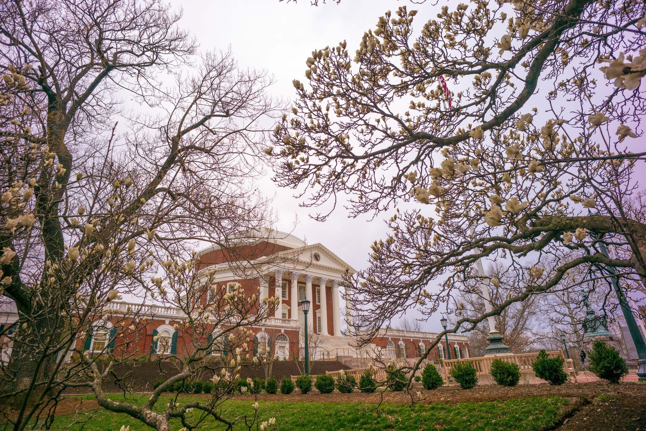 (Photo by Sanjay Suchak, University Communications) Accolades: Jefferson Scholars Foundation Awards $25,000 to Five Faculty Members