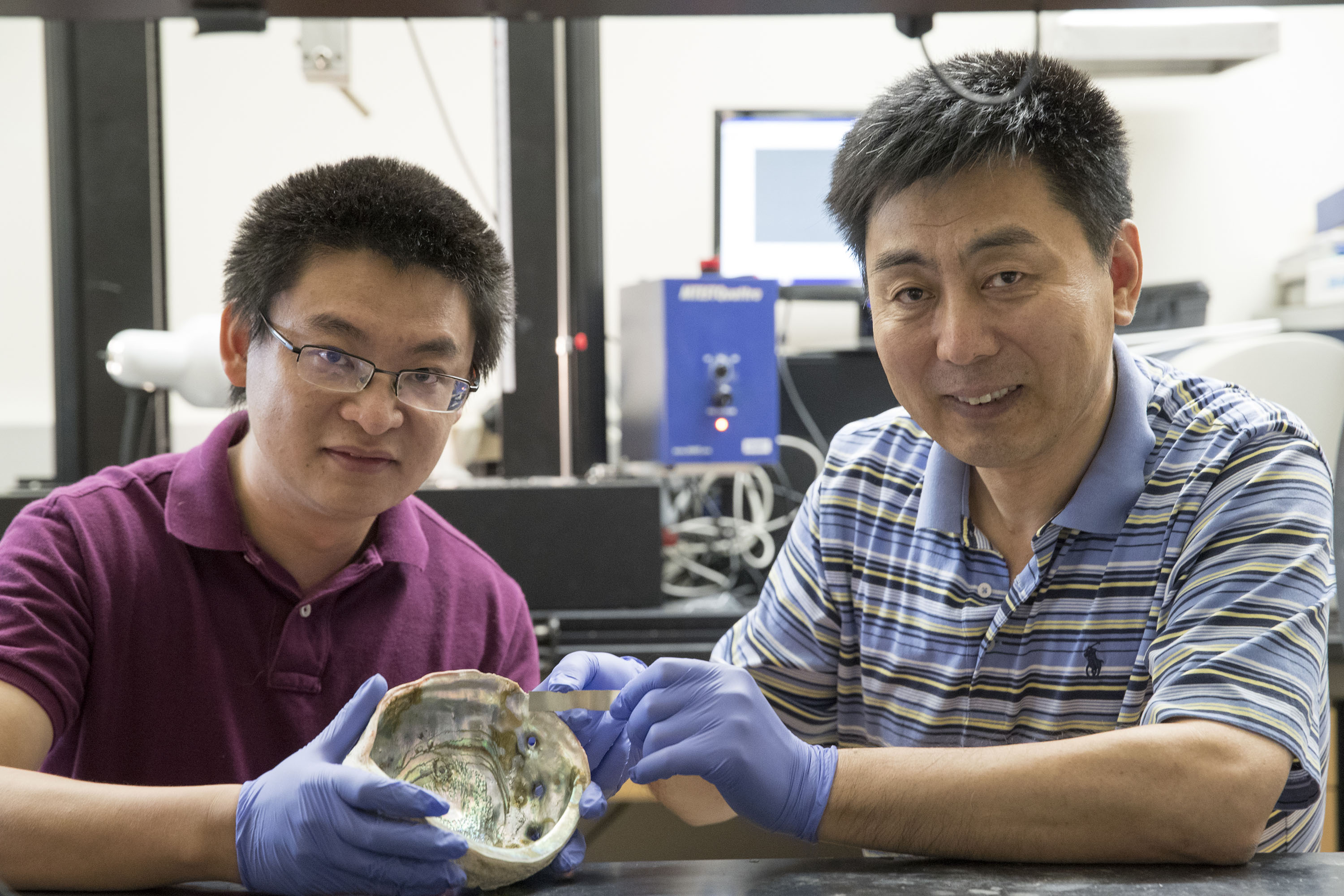 Engineering professor Chris Li, right, and graduate student Yunya Zhang with an abalone shell and a strip of the new metal composite they’ve developed. (Photo by Dan Addison, University Communications)