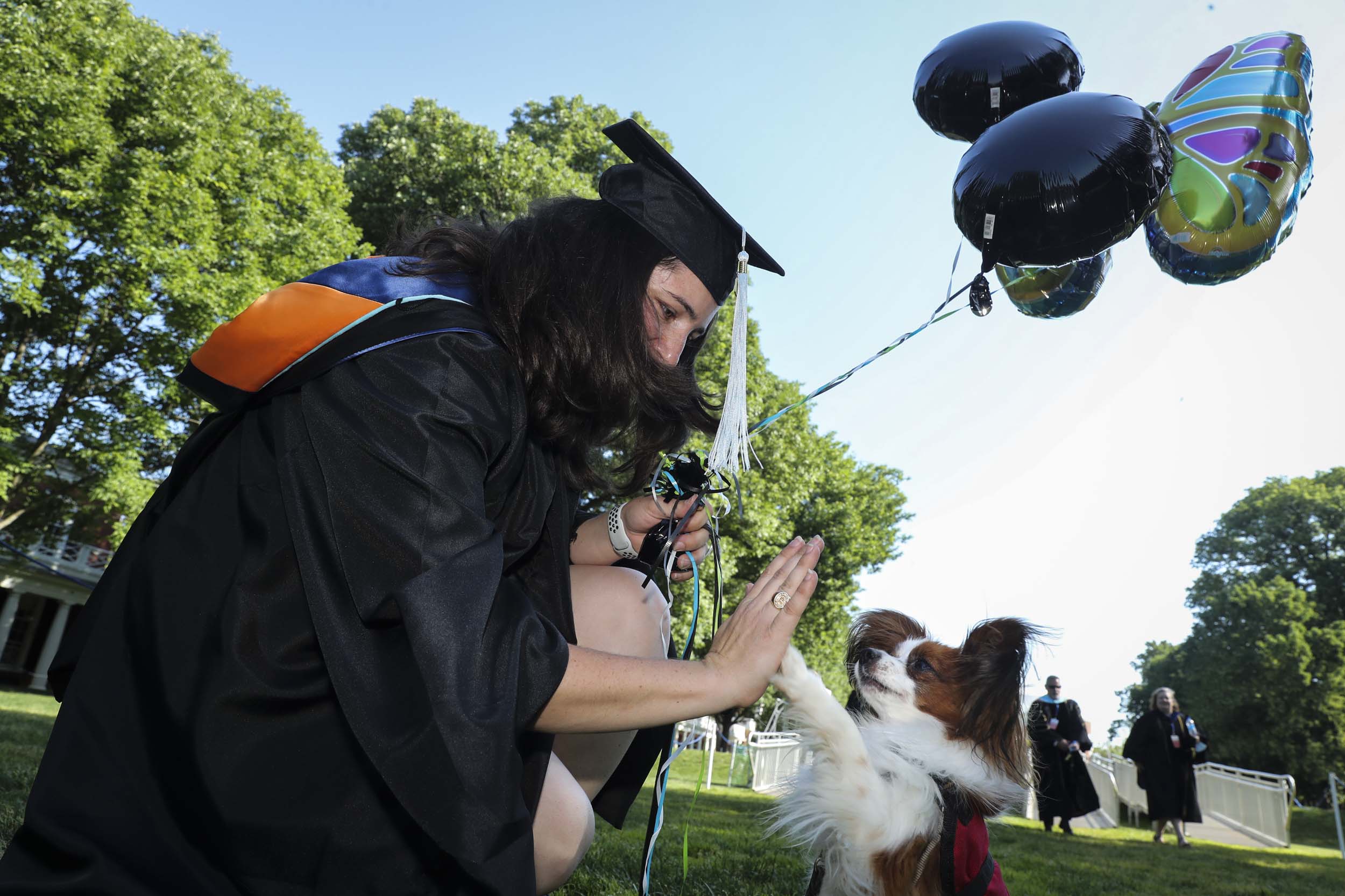 Graduate giving a dog a high five