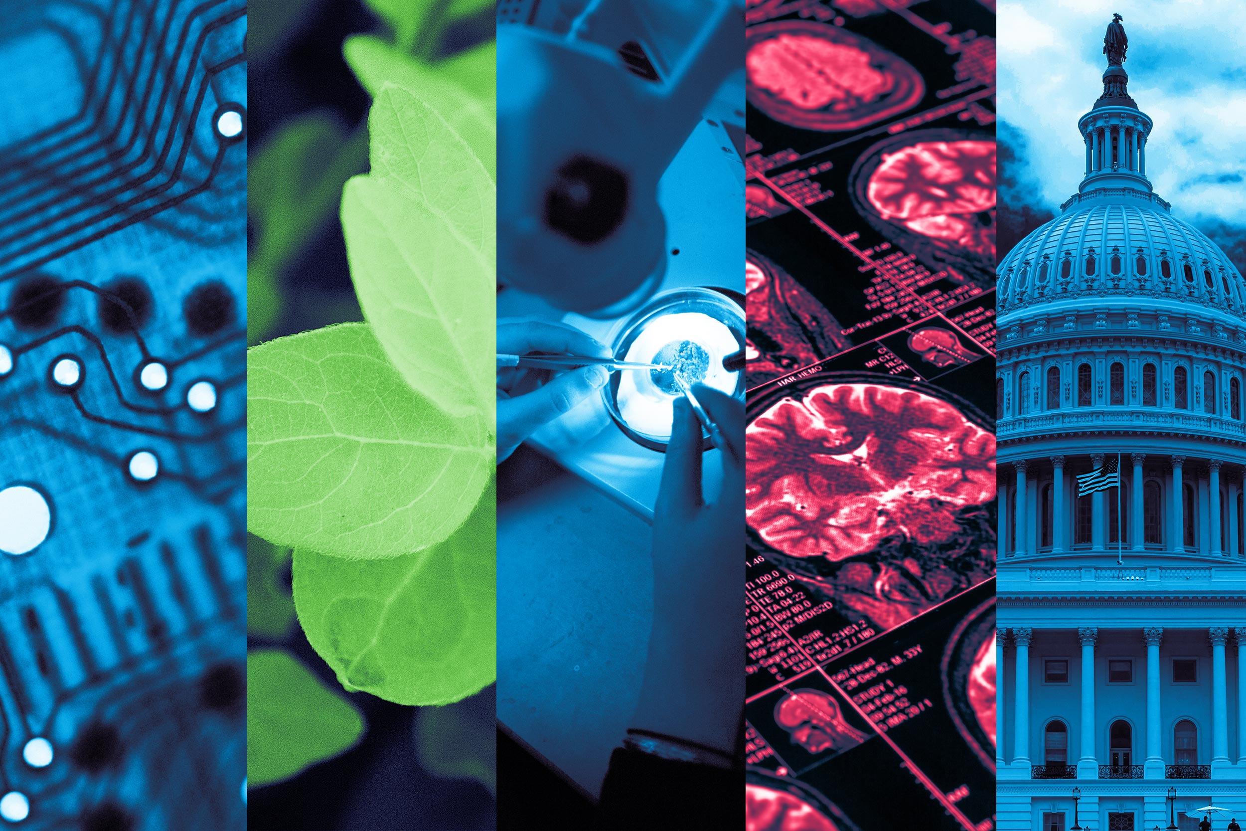 Left to right: Bioengineering cpu panel, green leaf, person working on a microscope slide, mri images, USA capitol 