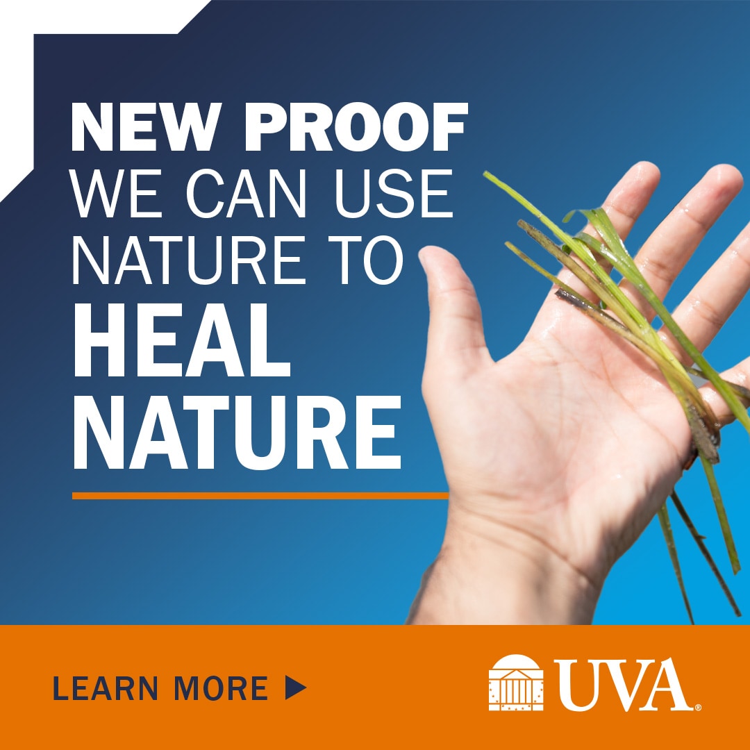 New Proof We Can Use Nature To Heal Nature, Learn More