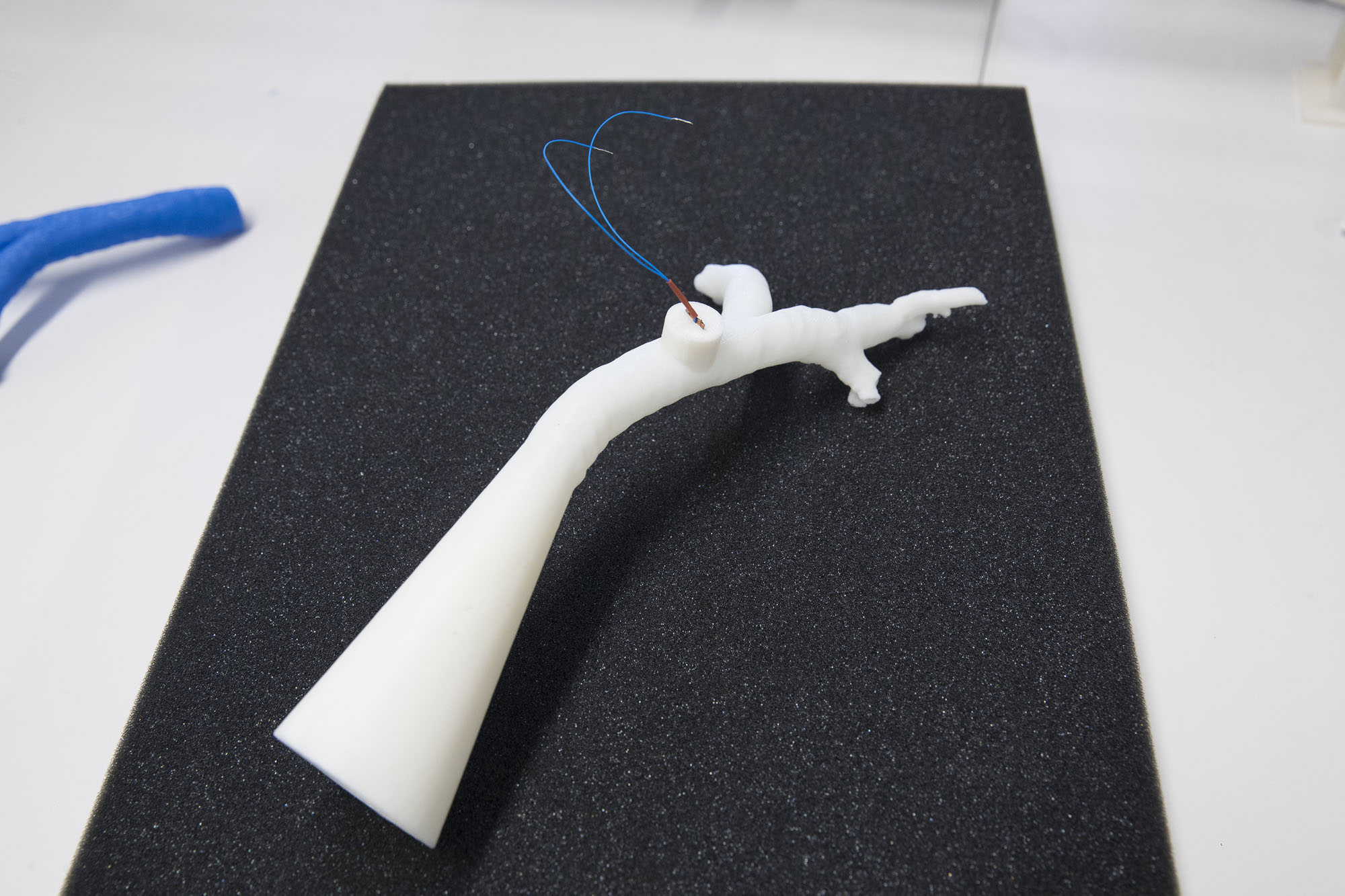 3-D-printed trachea model made to scale