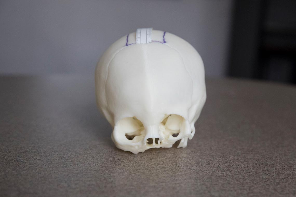 Small skull sits on a table