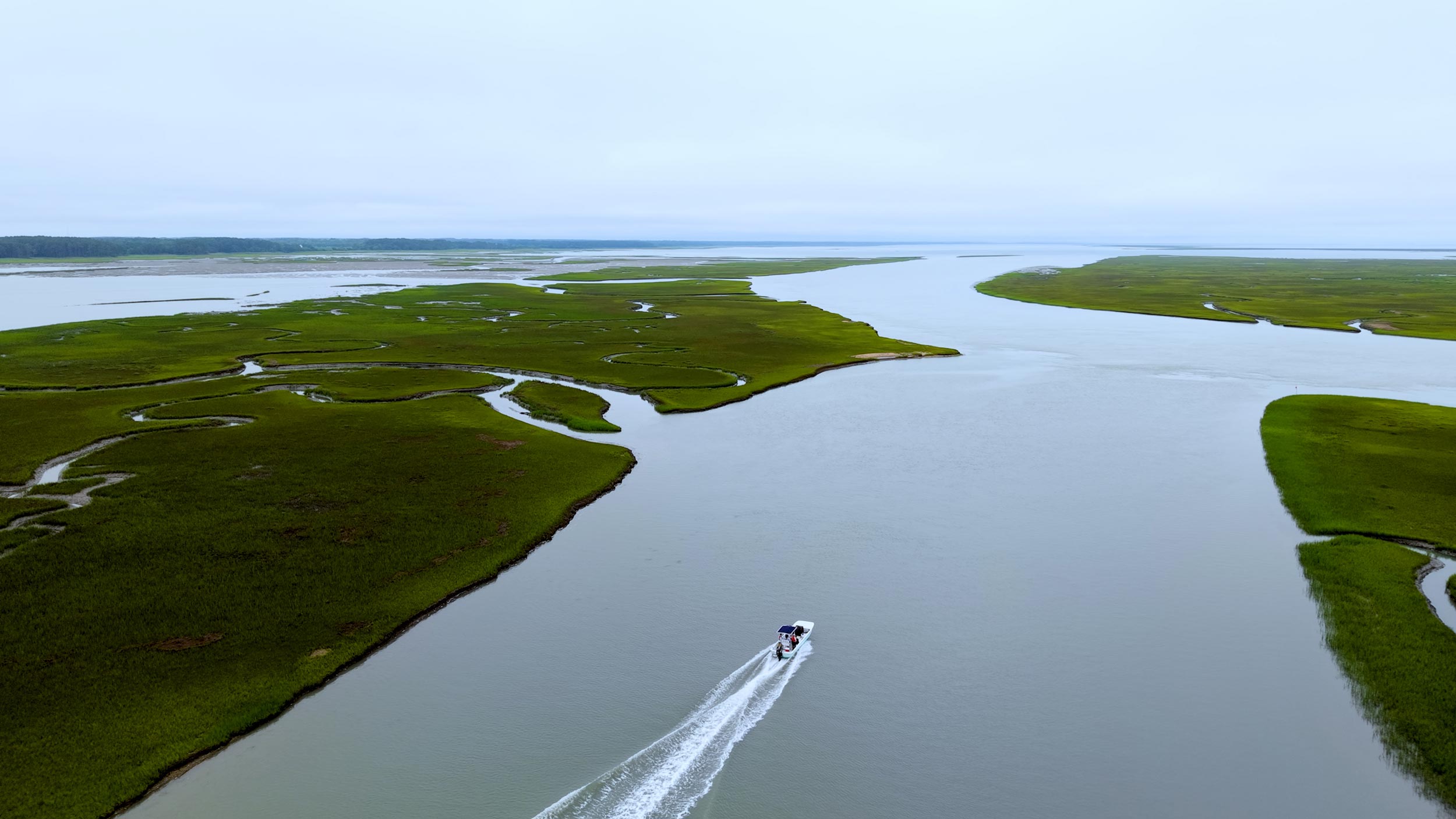 a power boat cruising the Virginia coastline