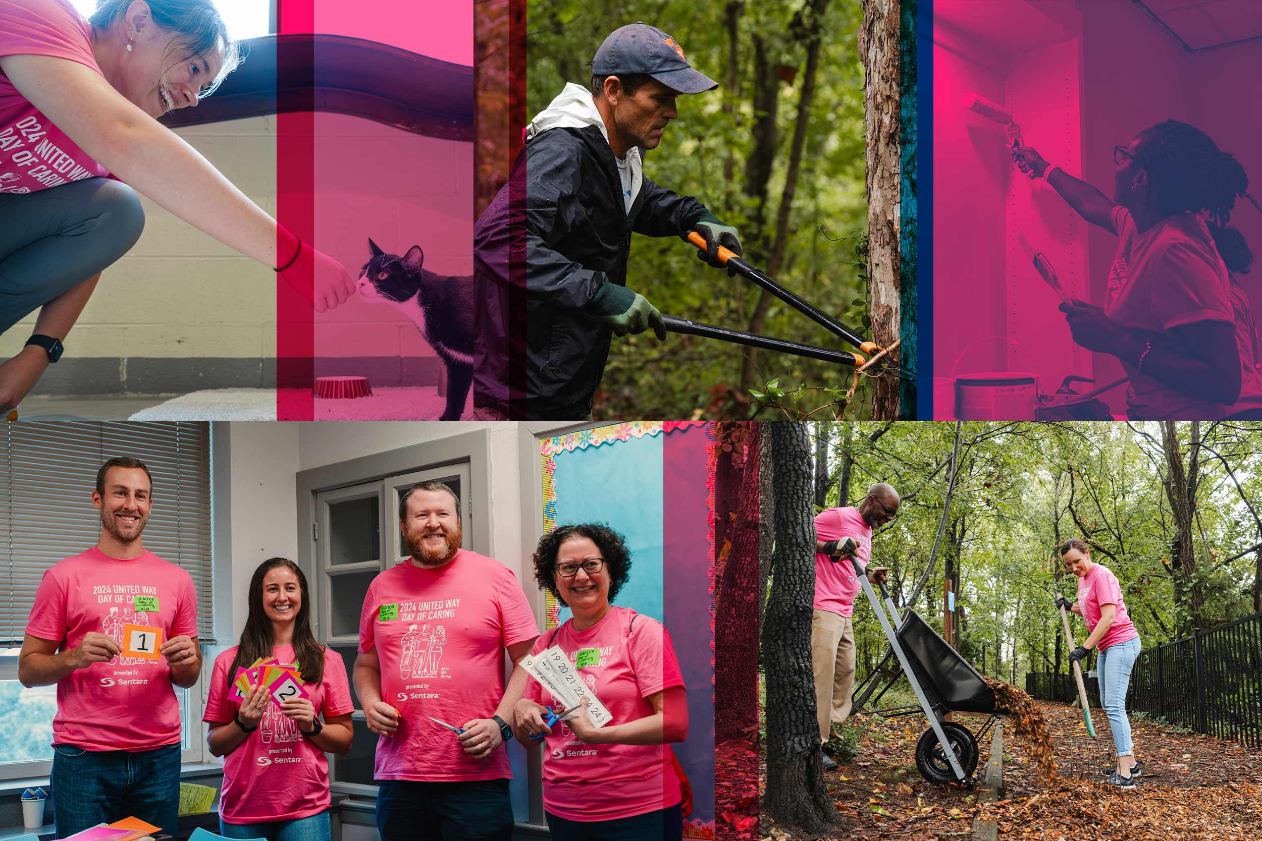 A collage of various UVA employees helping during Day of Caring