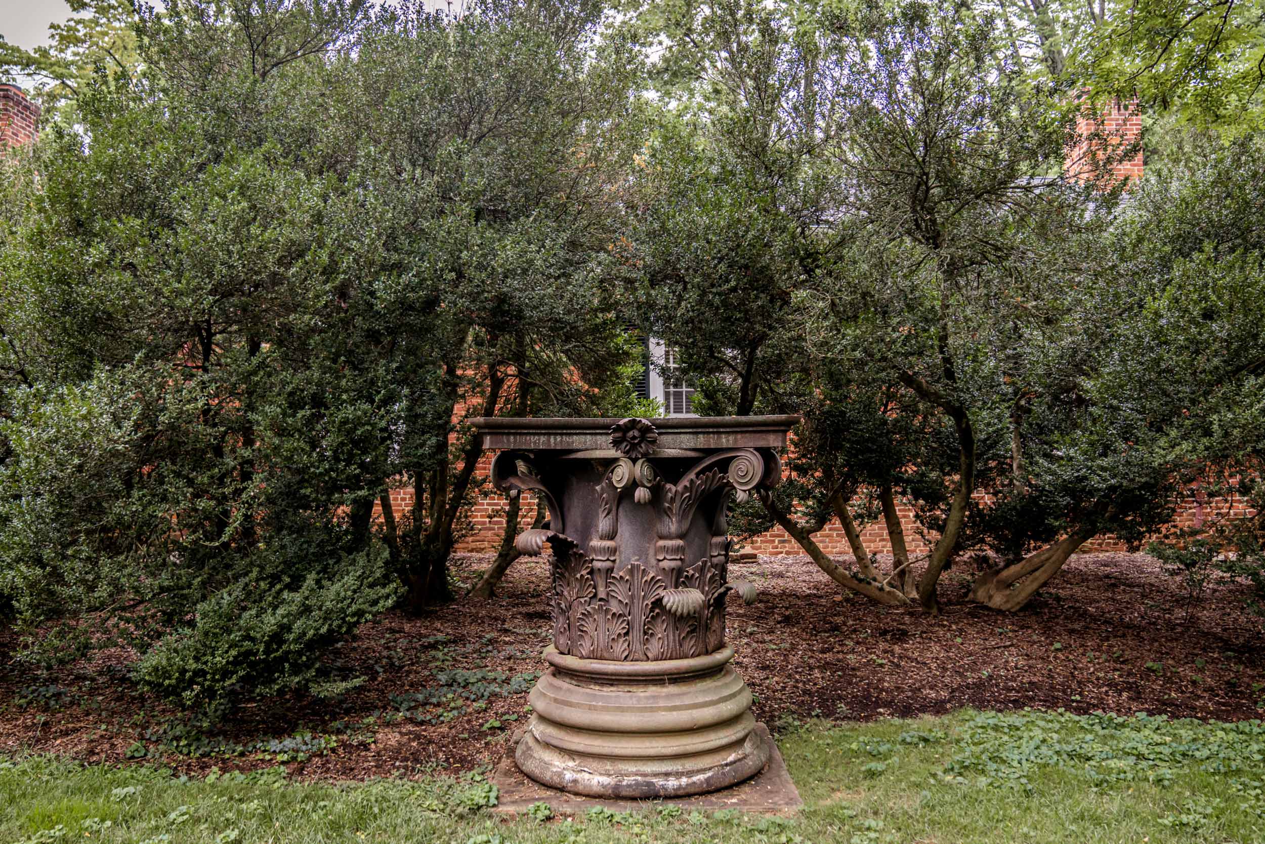 Portrait of the Rotunda Annex's cast iron capitals.