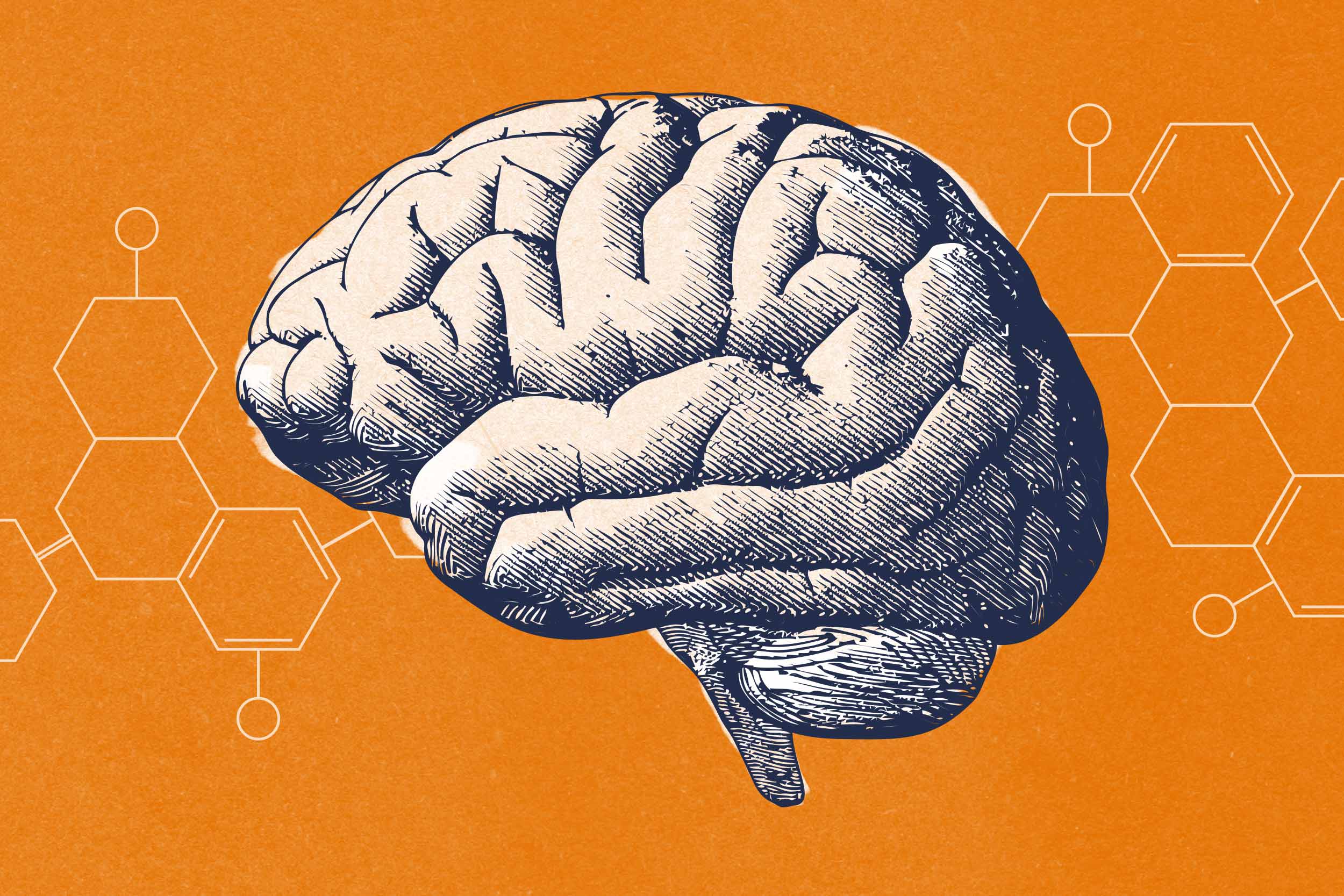illustration of a human brain on an orange background with molecular diagrams in the background