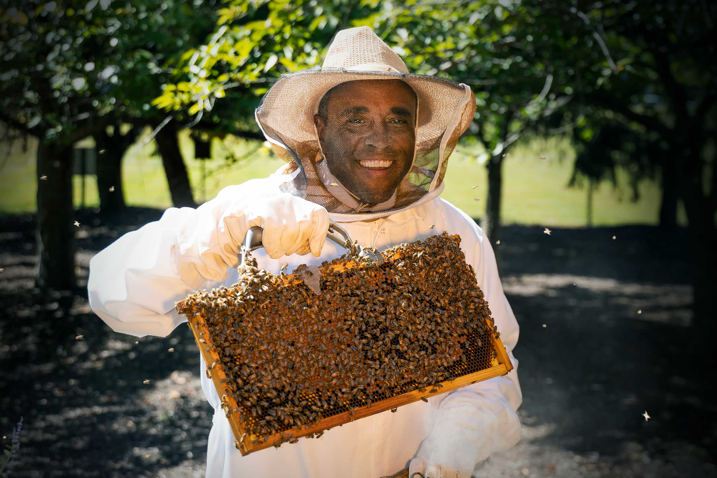 Greg Fairchild in a protective suit holding a tray of bees