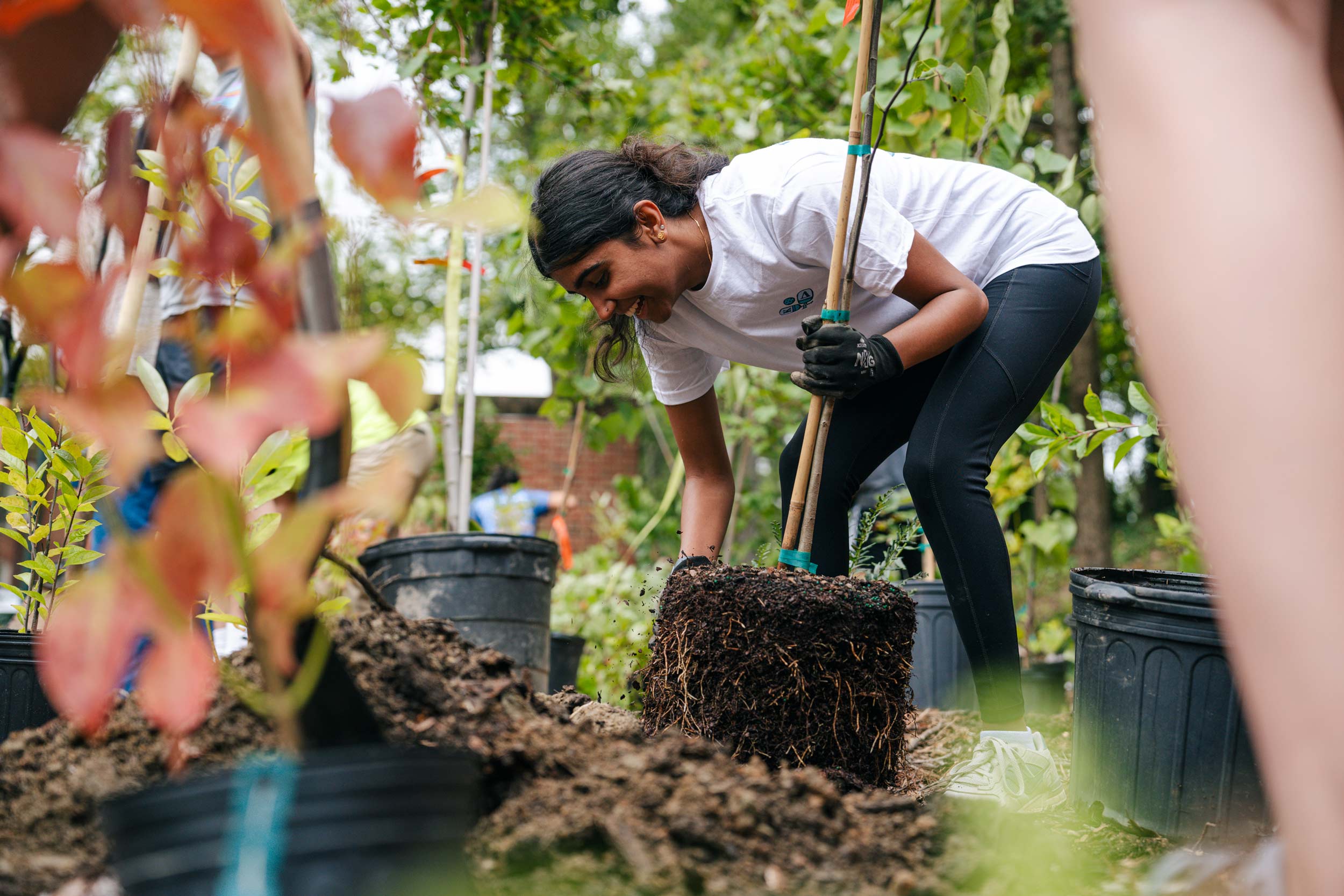 A student leans over to put a tree into a dug out hole in the ground