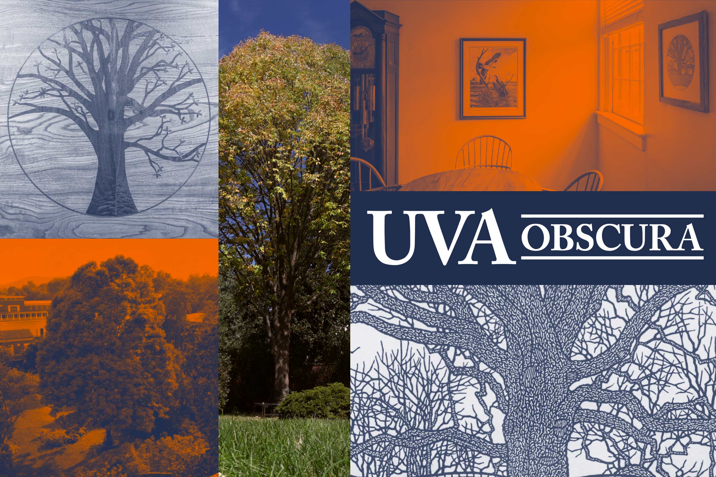 Collage of illustrated images of various trees on the UVA grounds for UVA Obscura.