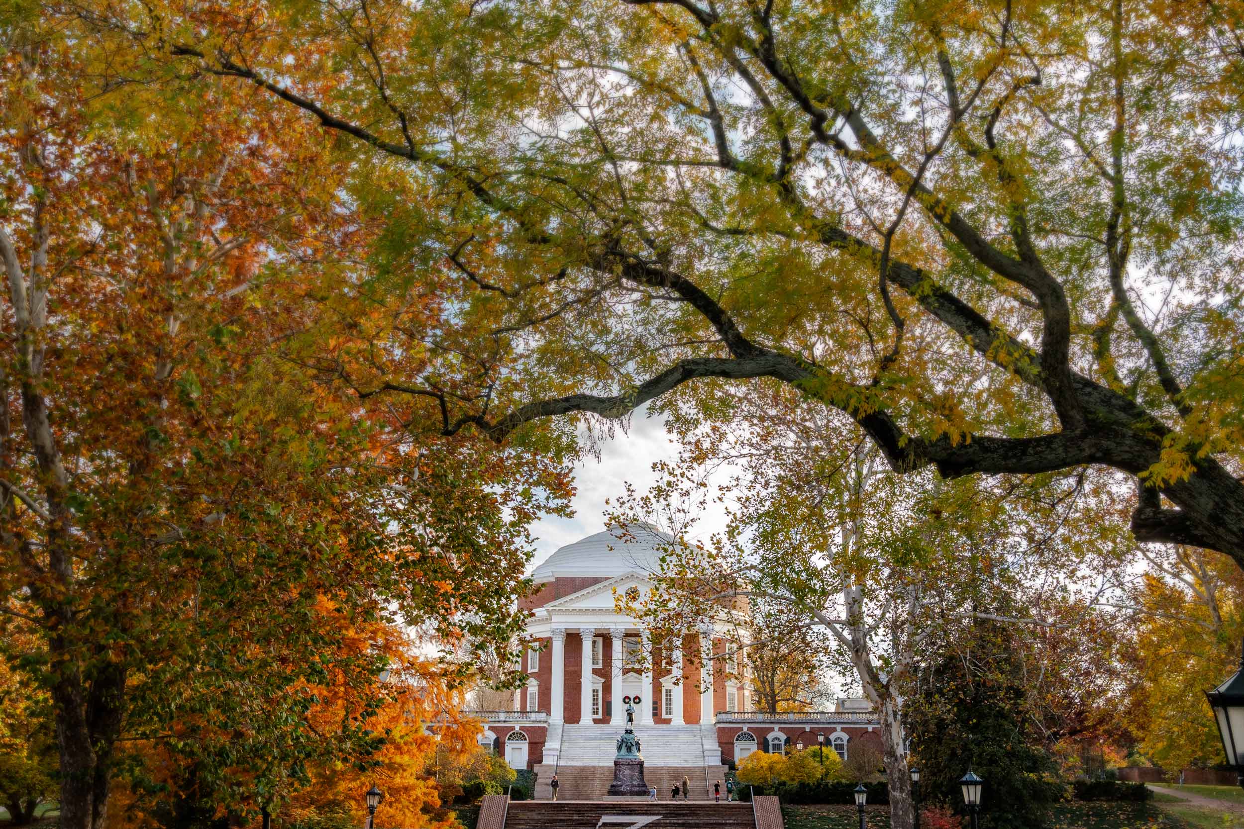 A look through branches full of the fall colors at the Rotunda