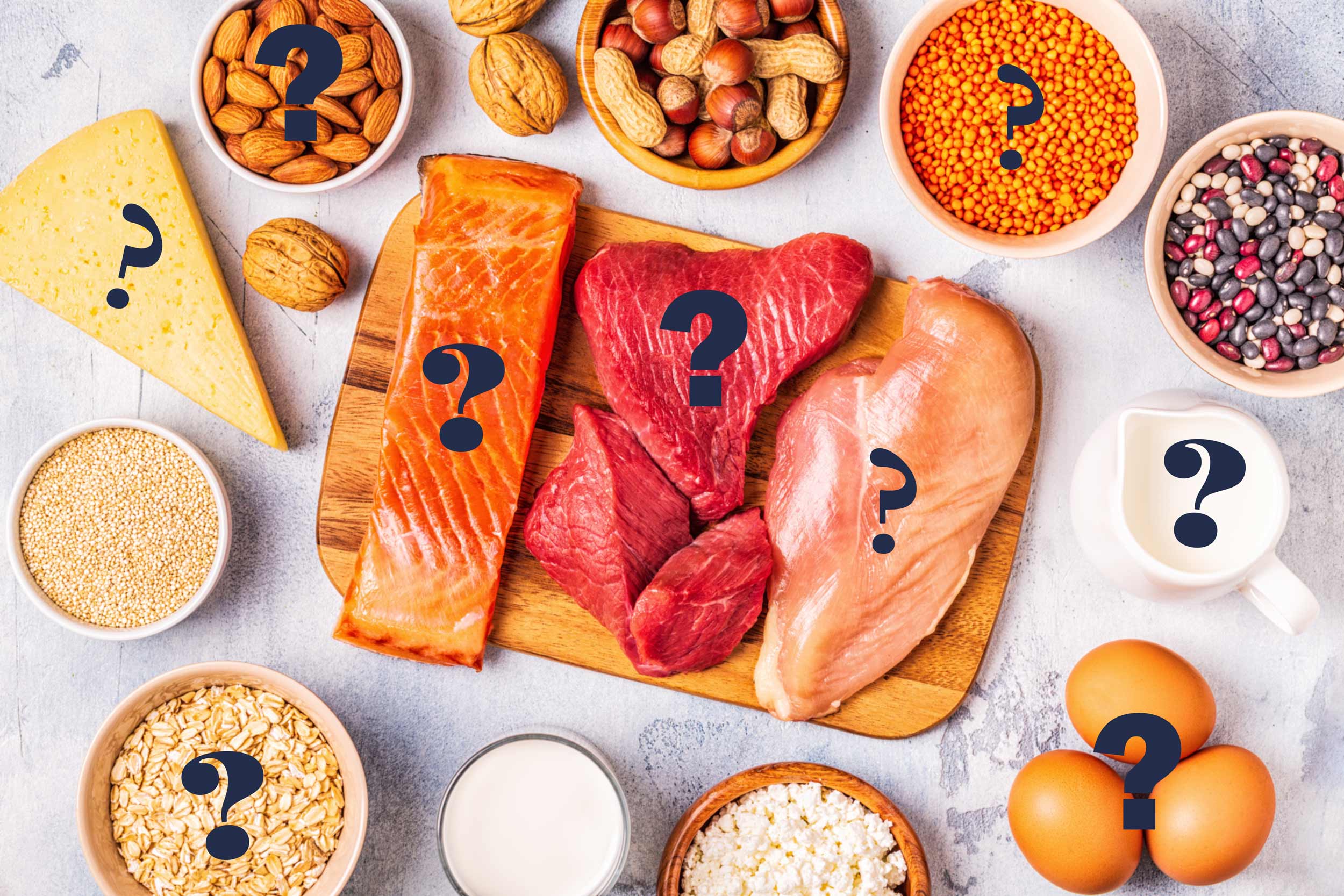 An overhead look at an assortment of protien sources with question marks over them