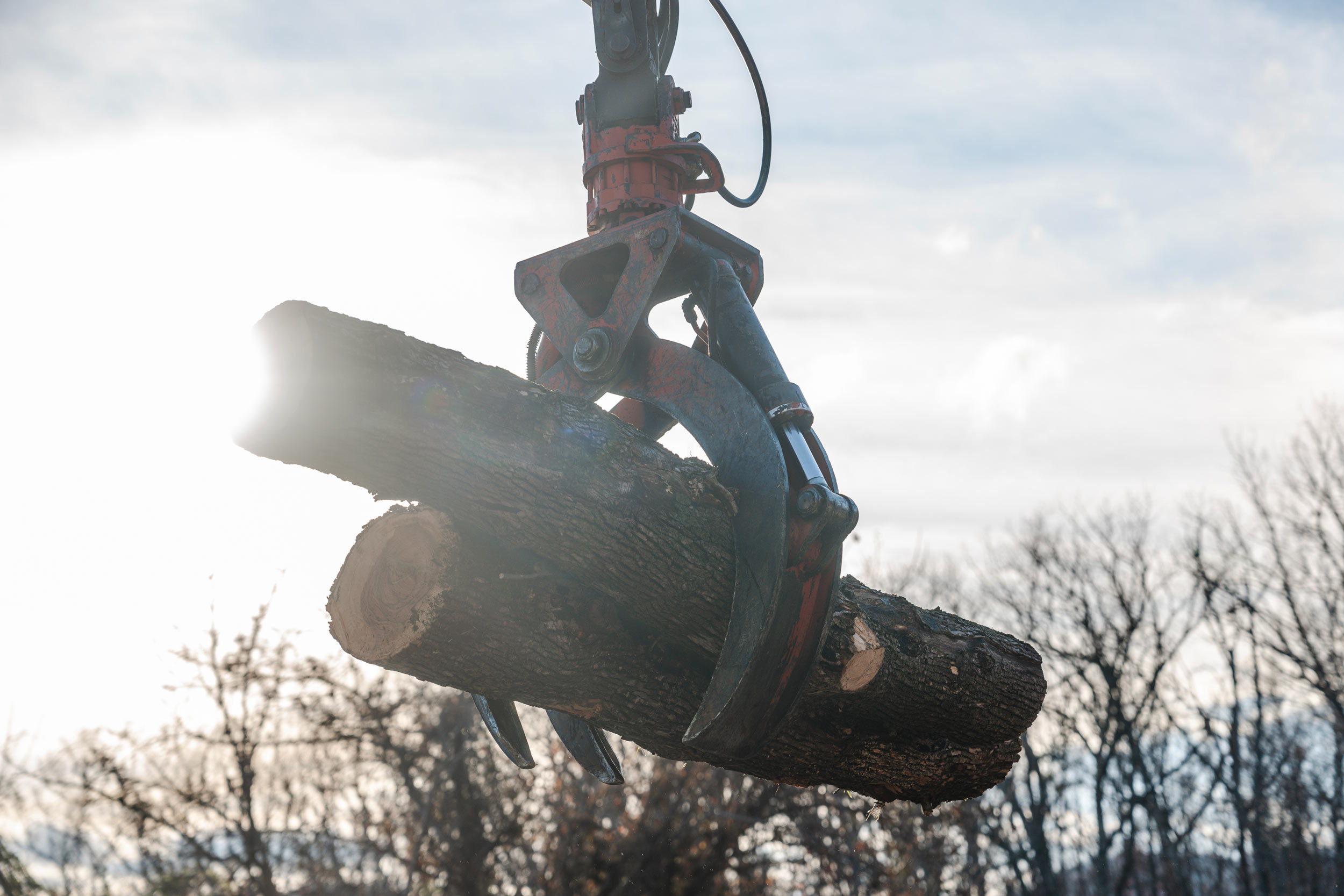 A claw grips two logs in mid air to be moved in the saw mill