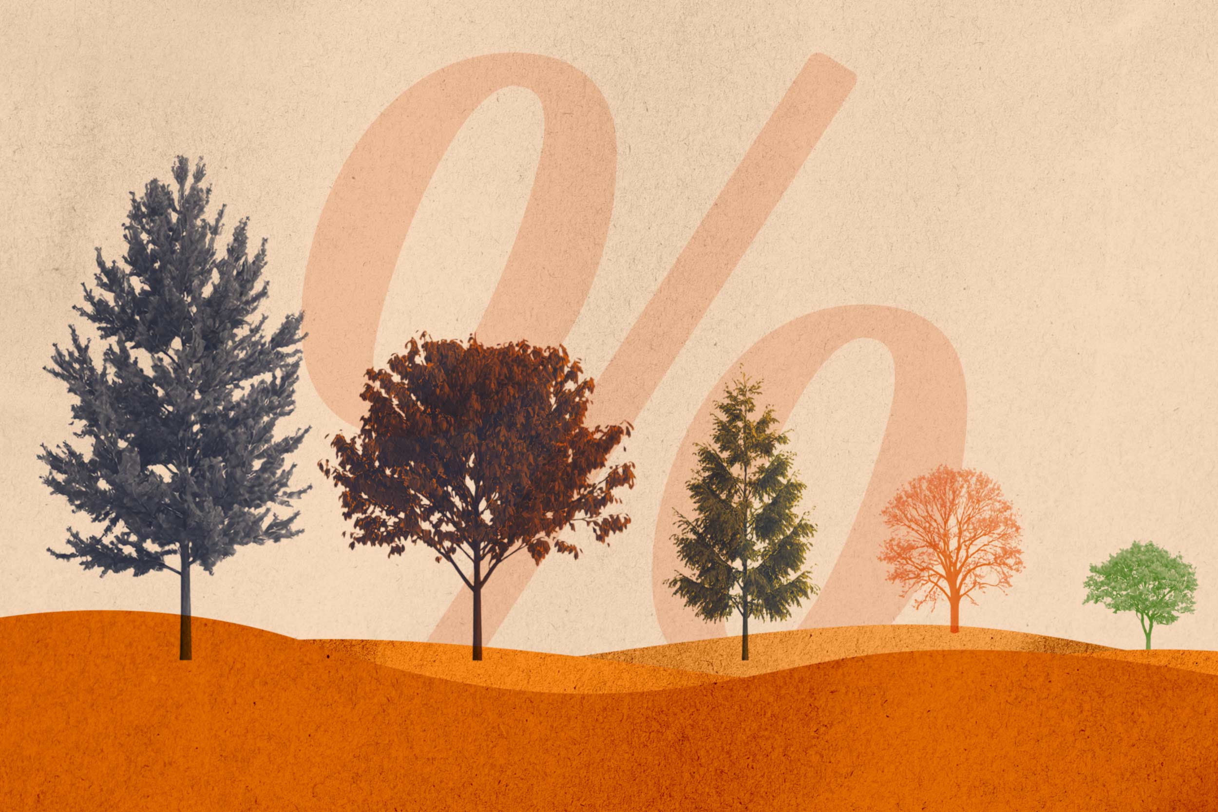 A landscape of Virginia native trees with a percentage symbol in the background